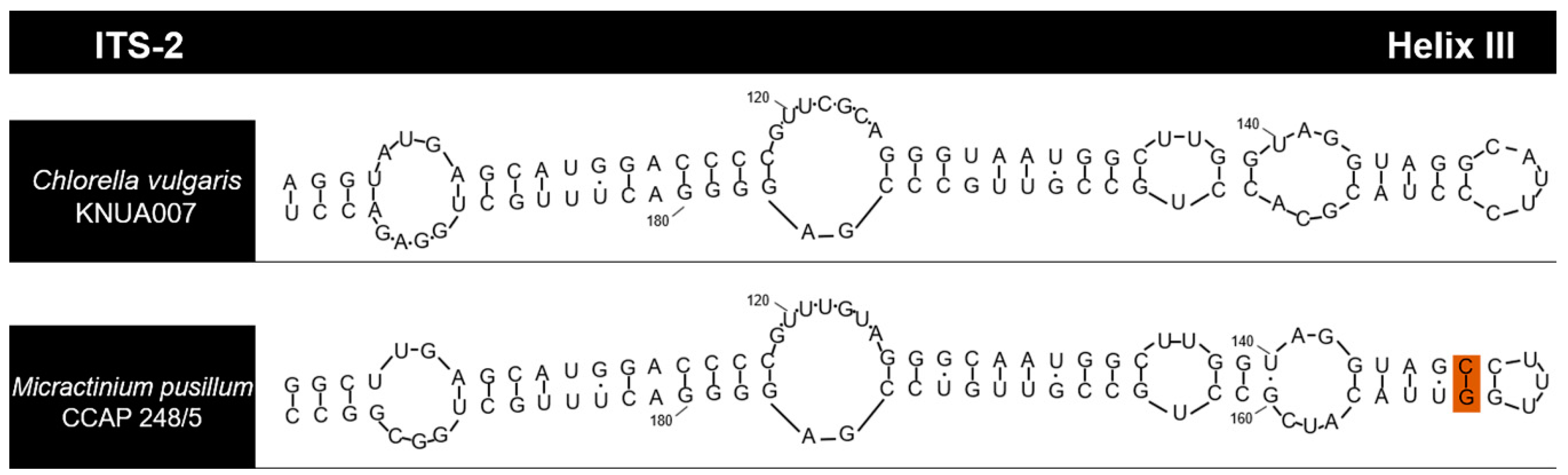 Jmse 08 00935 g003 Jmse 08 00935 g003