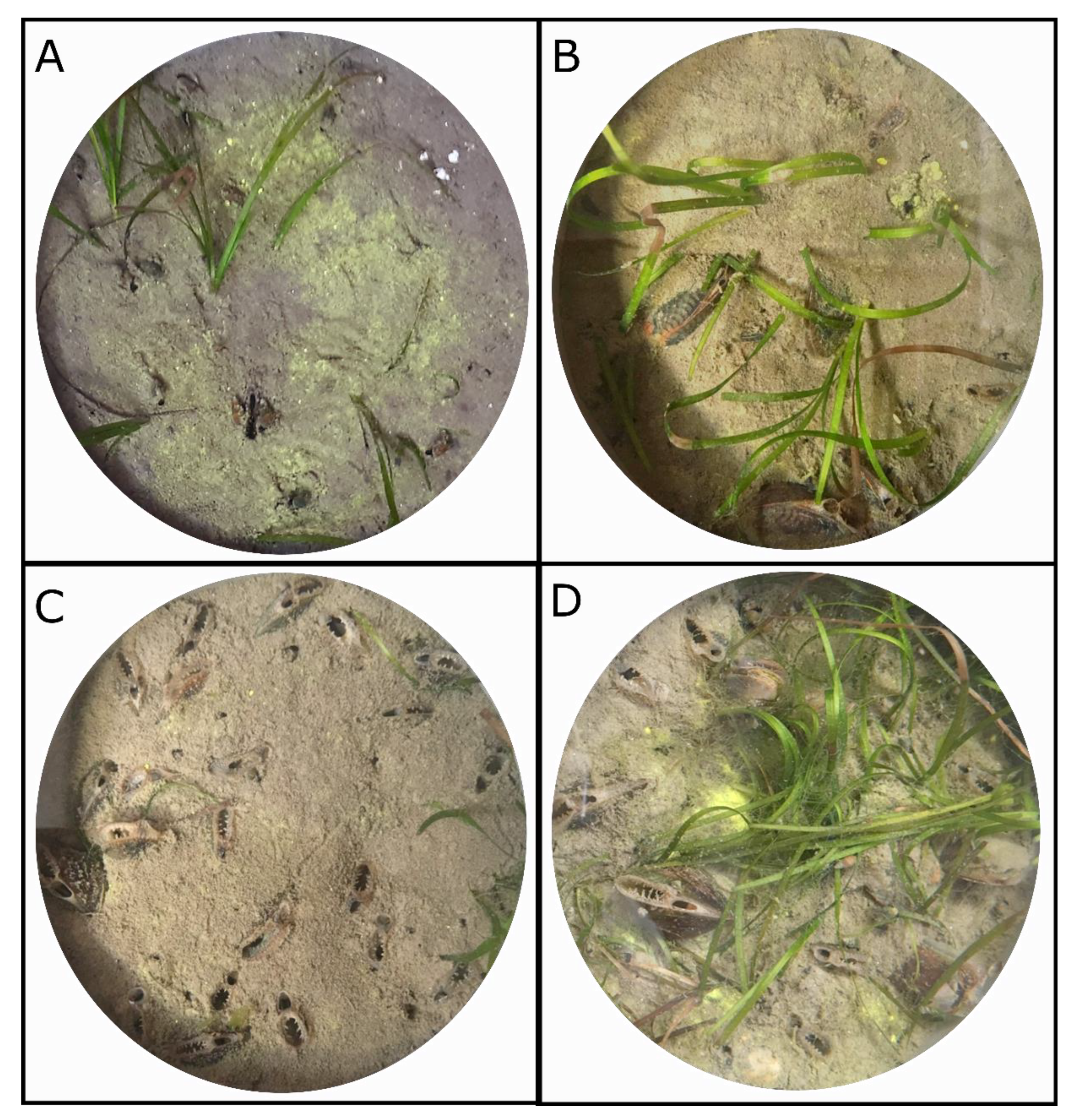 Jmse 08 00963 g002 Jmse 08 00963 g002