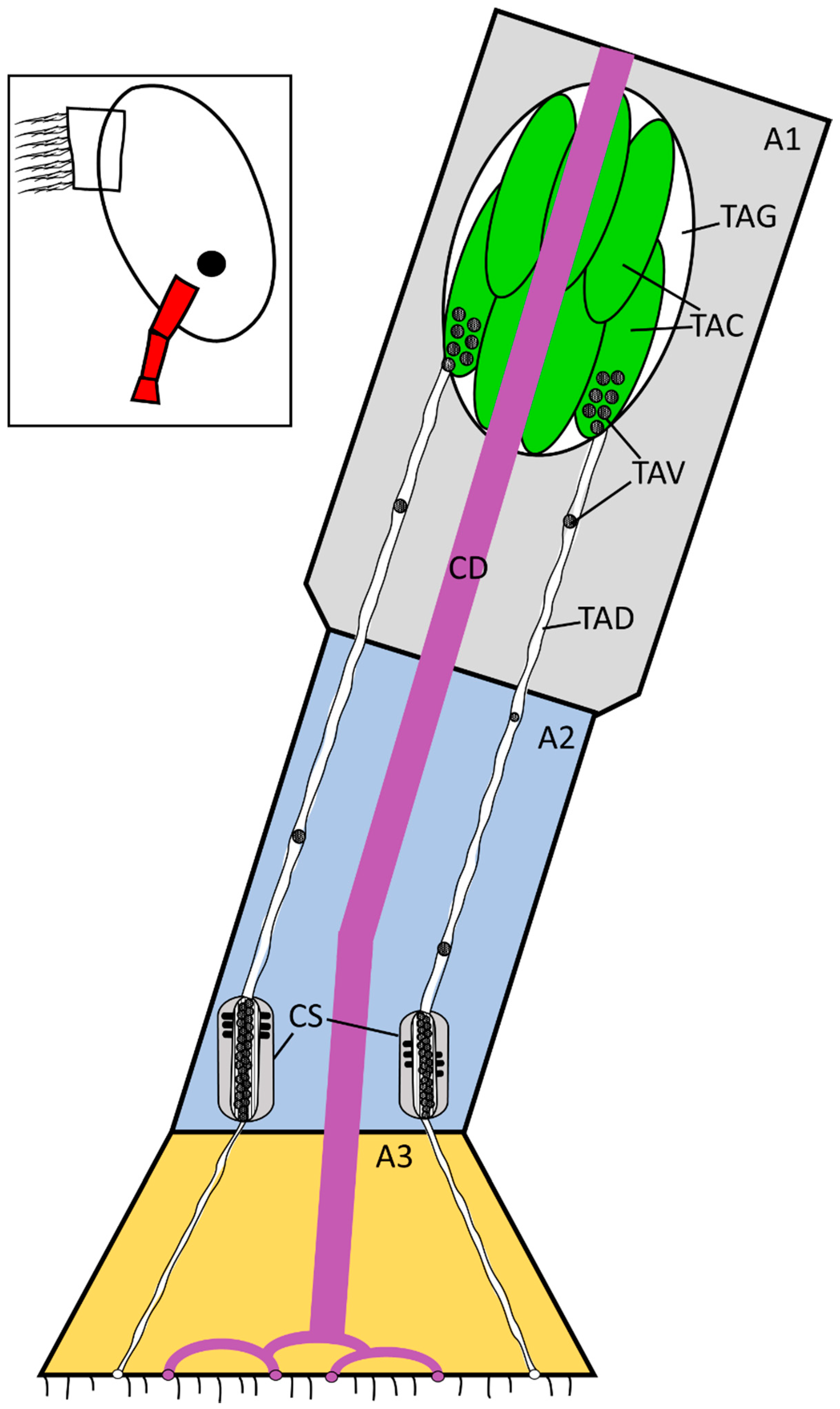 Jmse 08 00968 g007