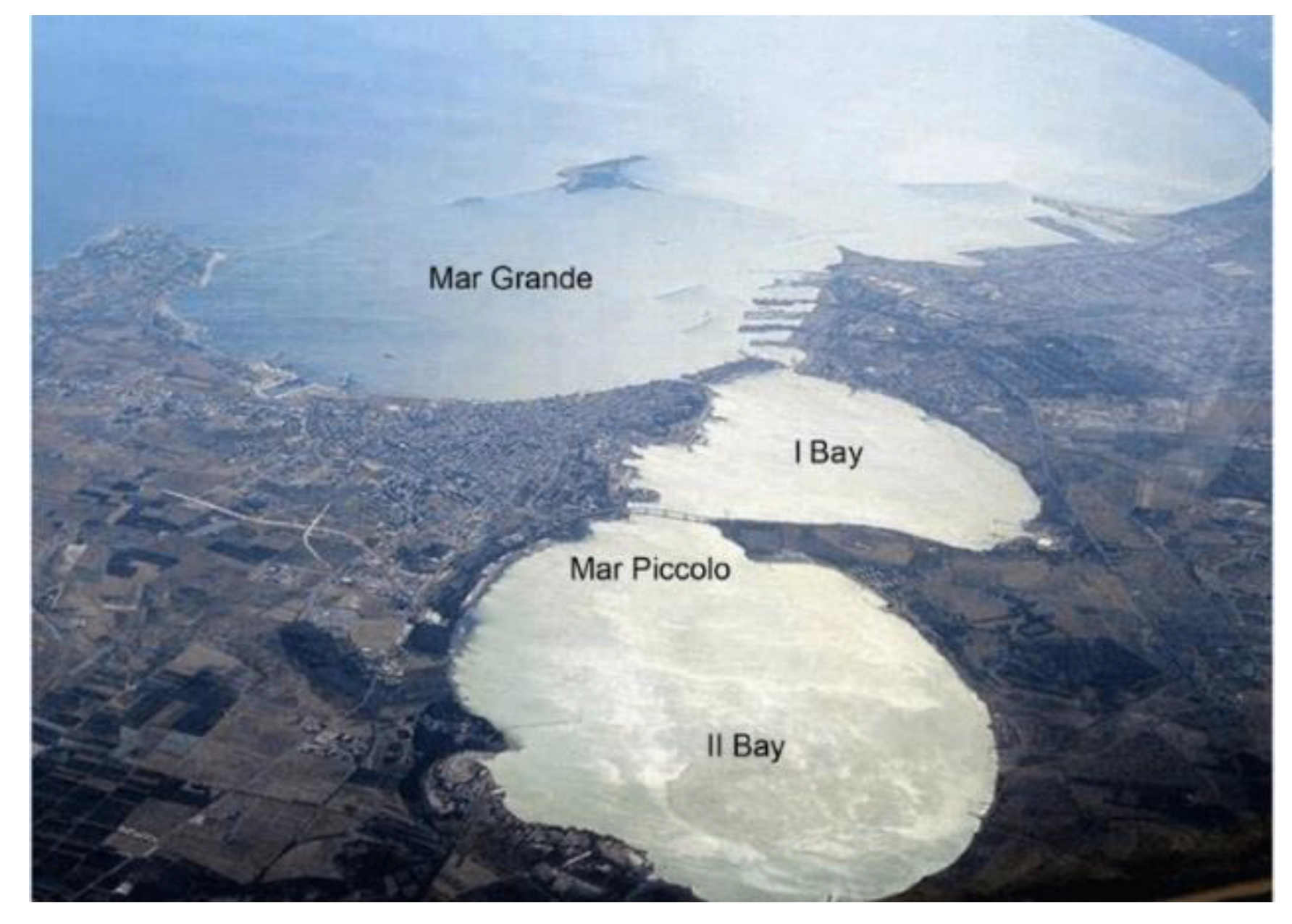 Jmse 08 01020 g001 Jmse 08 01020 g001