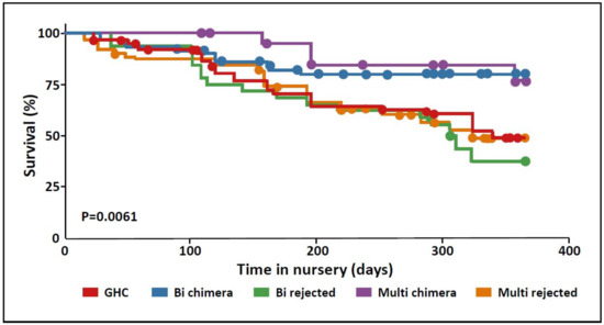 Chimerism in Wild Adult Populations of the Broadcast Spawning