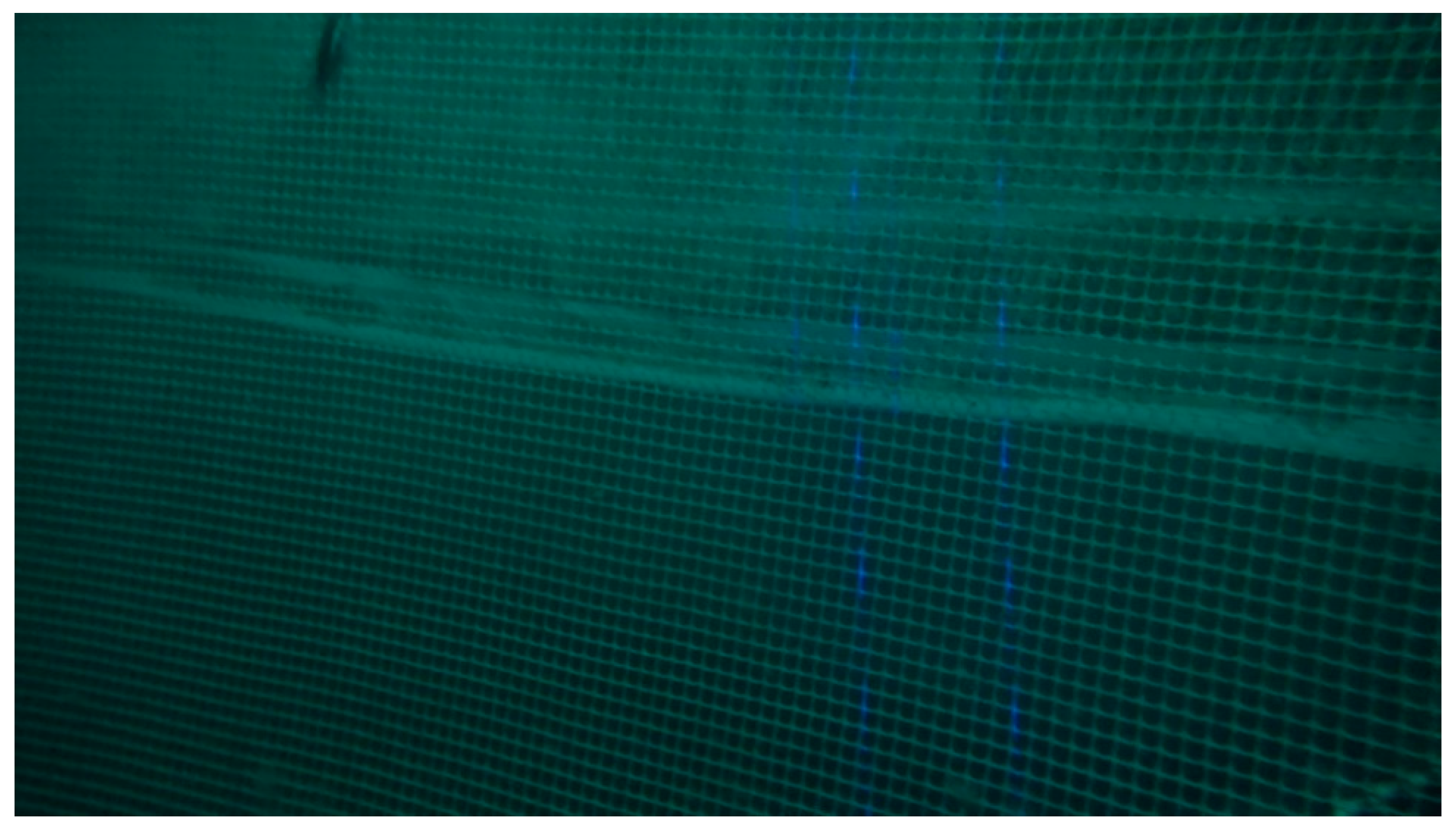 Jmse 09 00079 g008 Jmse 09 00079 g008