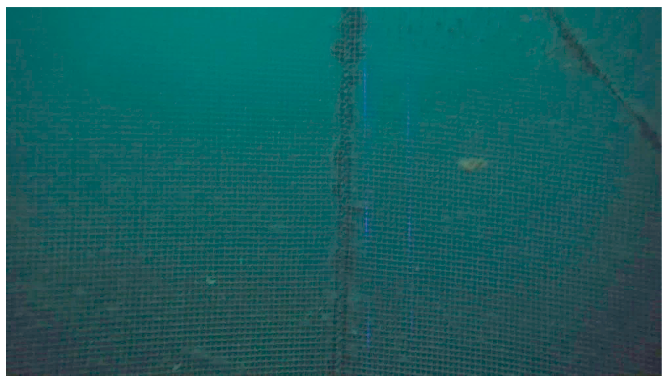 Jmse 09 00079 g010 Jmse 09 00079 g010