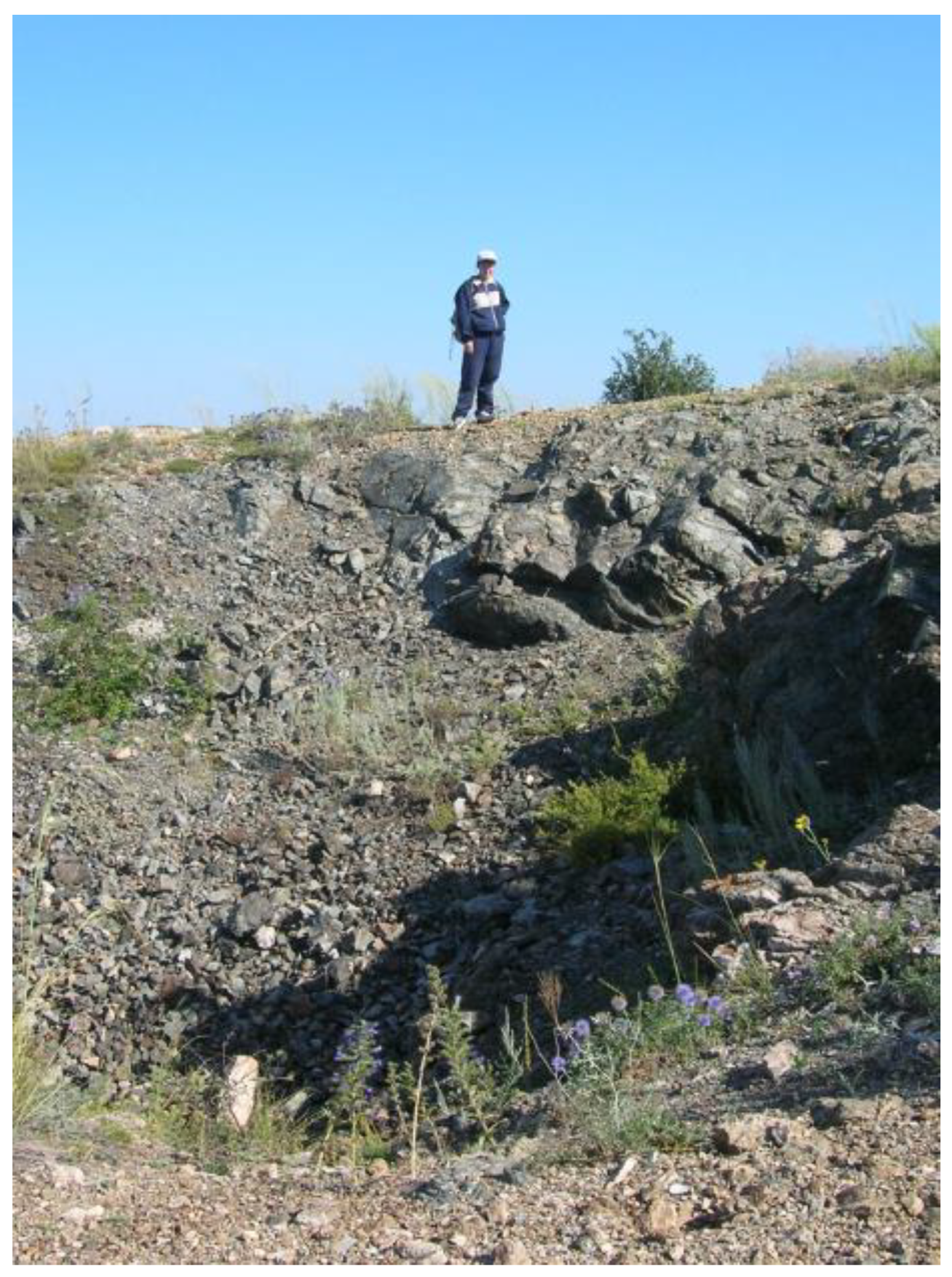 Jmse 09 00092 g002 Jmse 09 00092 g002