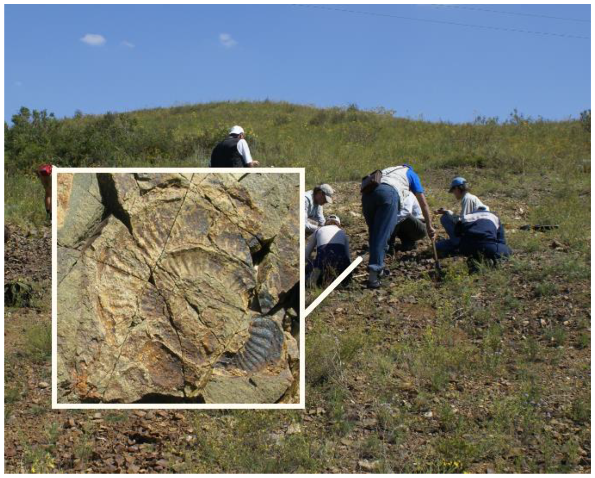 Jmse 09 00092 g003 Jmse 09 00092 g003