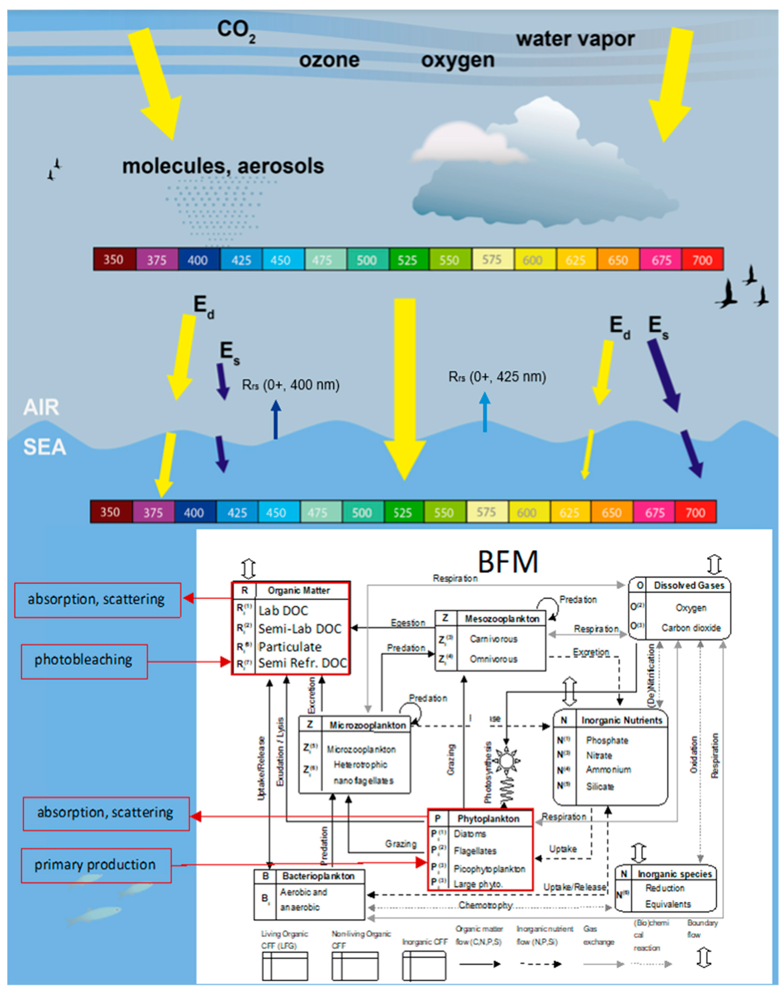 Jmse 09 00176 g001 Jmse 09 00176 g001