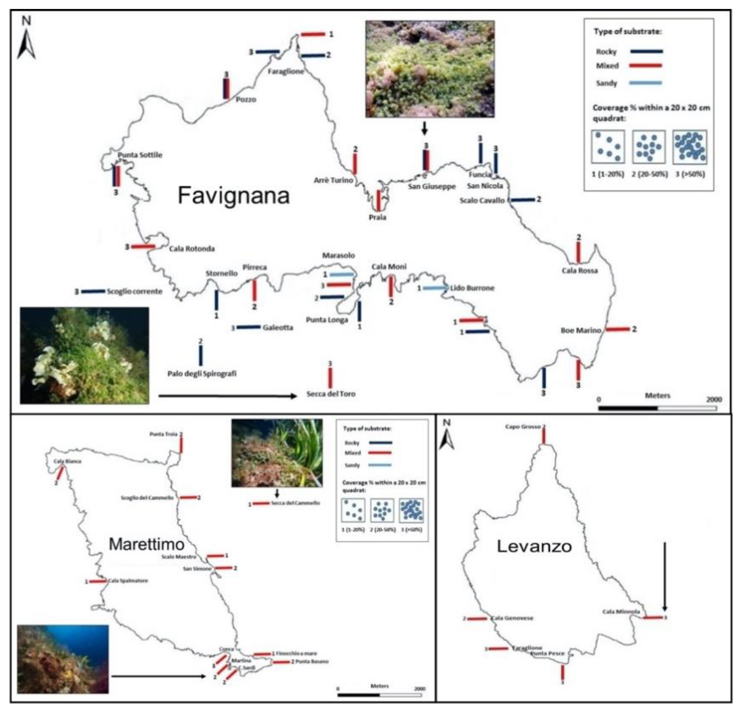 Jmse 09 00288 g002 Jmse 09 00288 g002