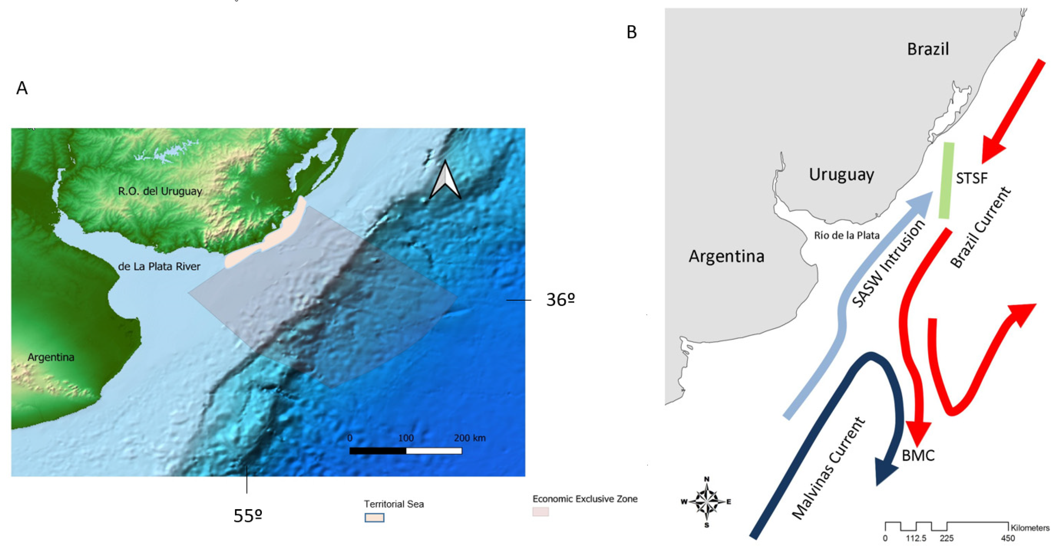 Jmse Free Full Text Physical Drivers And Dominant Oceanographic Processes On The Uruguayan Margin Southwestern Atlantic A Review And A Conceptual Model Html