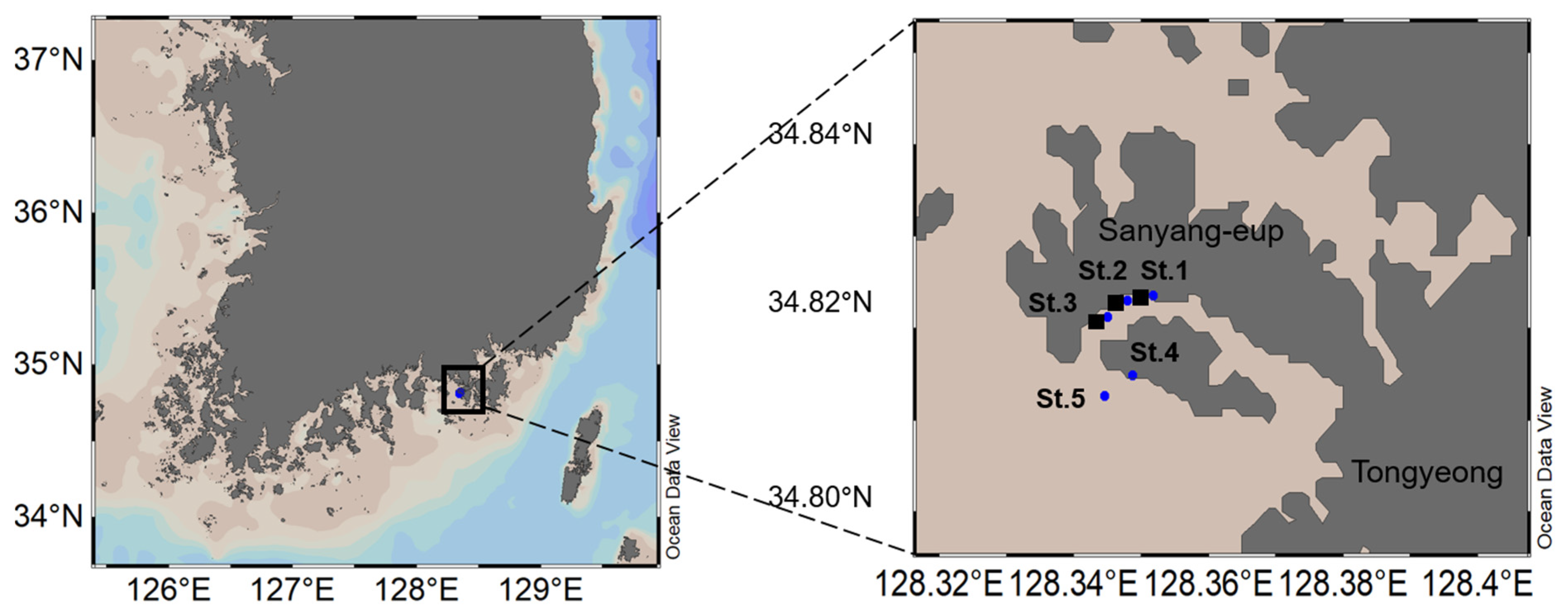 Jmse Free Full Text Eutrophication Driven By Aquaculture Fish Farms Controls Phytoplankton And Dinoflagellate Cyst Abundance In The Southern Coastal Waters Of Korea Html