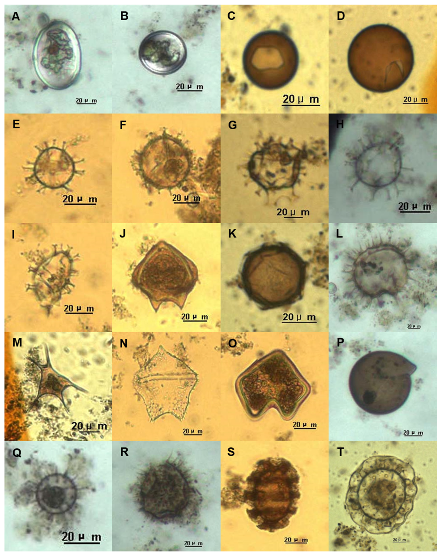 Jmse 09 00362 g005 Jmse 09 00362 g005