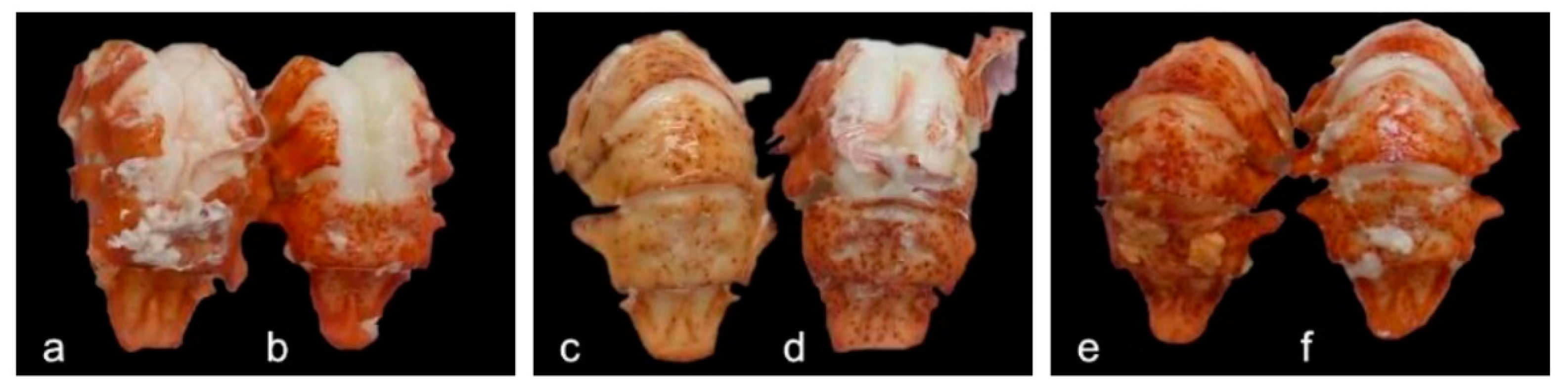 Jmse 09 00370 g010 Jmse 09 00370 g010