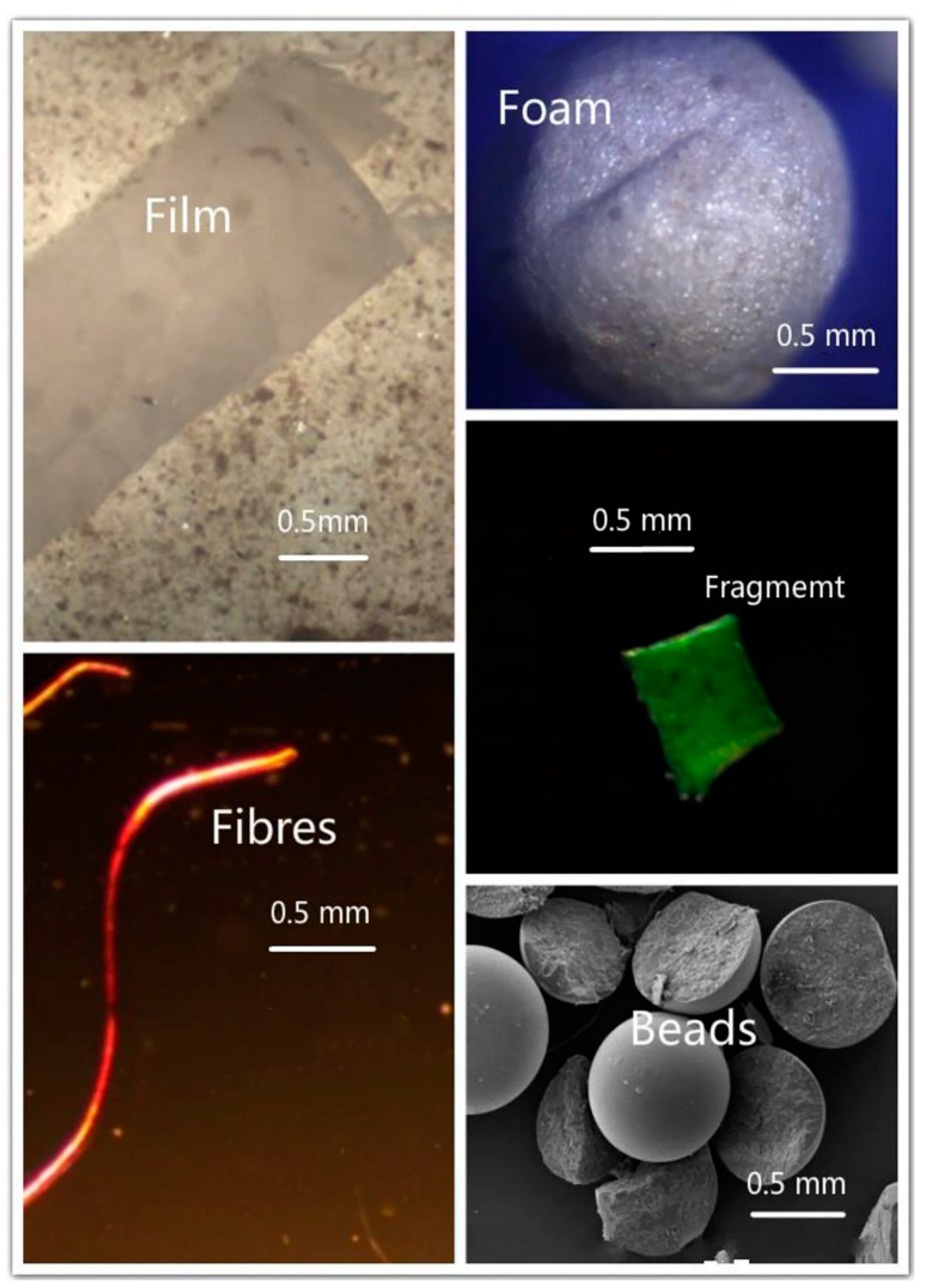 Jmse 09 00433 g002 Jmse 09 00433 g002