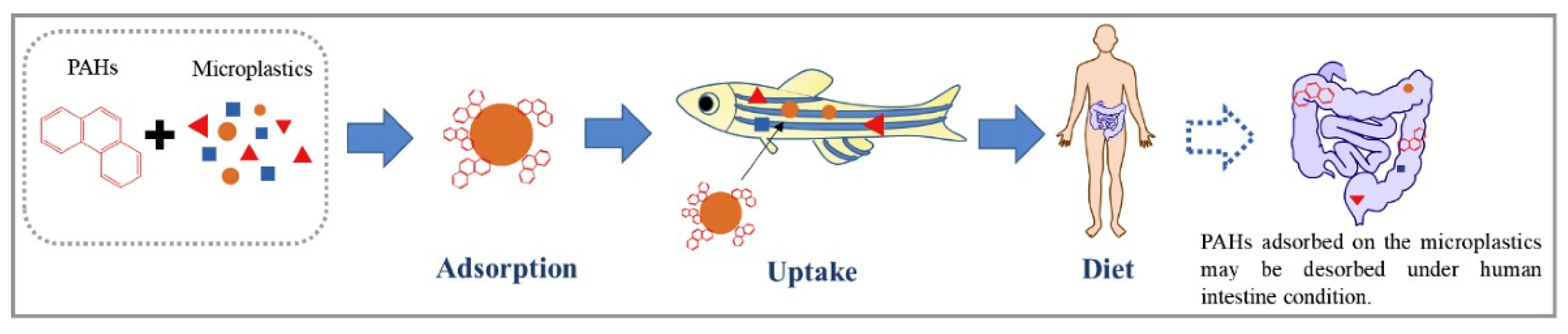 Jmse 09 00433 g005 Jmse 09 00433 g005