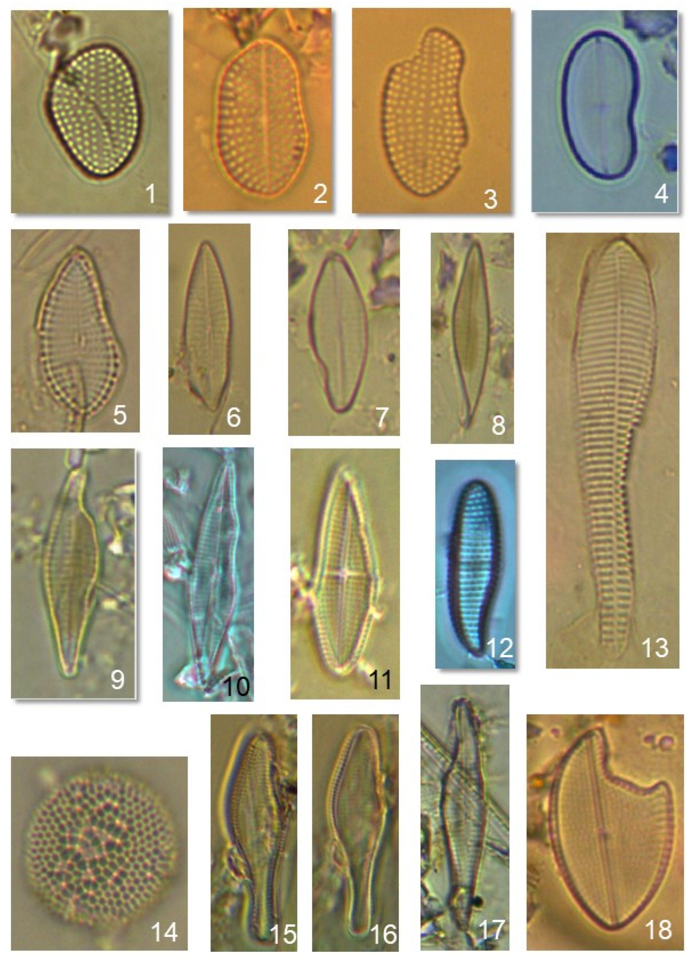 Jmse 09 00443 g005 Jmse 09 00443 g005