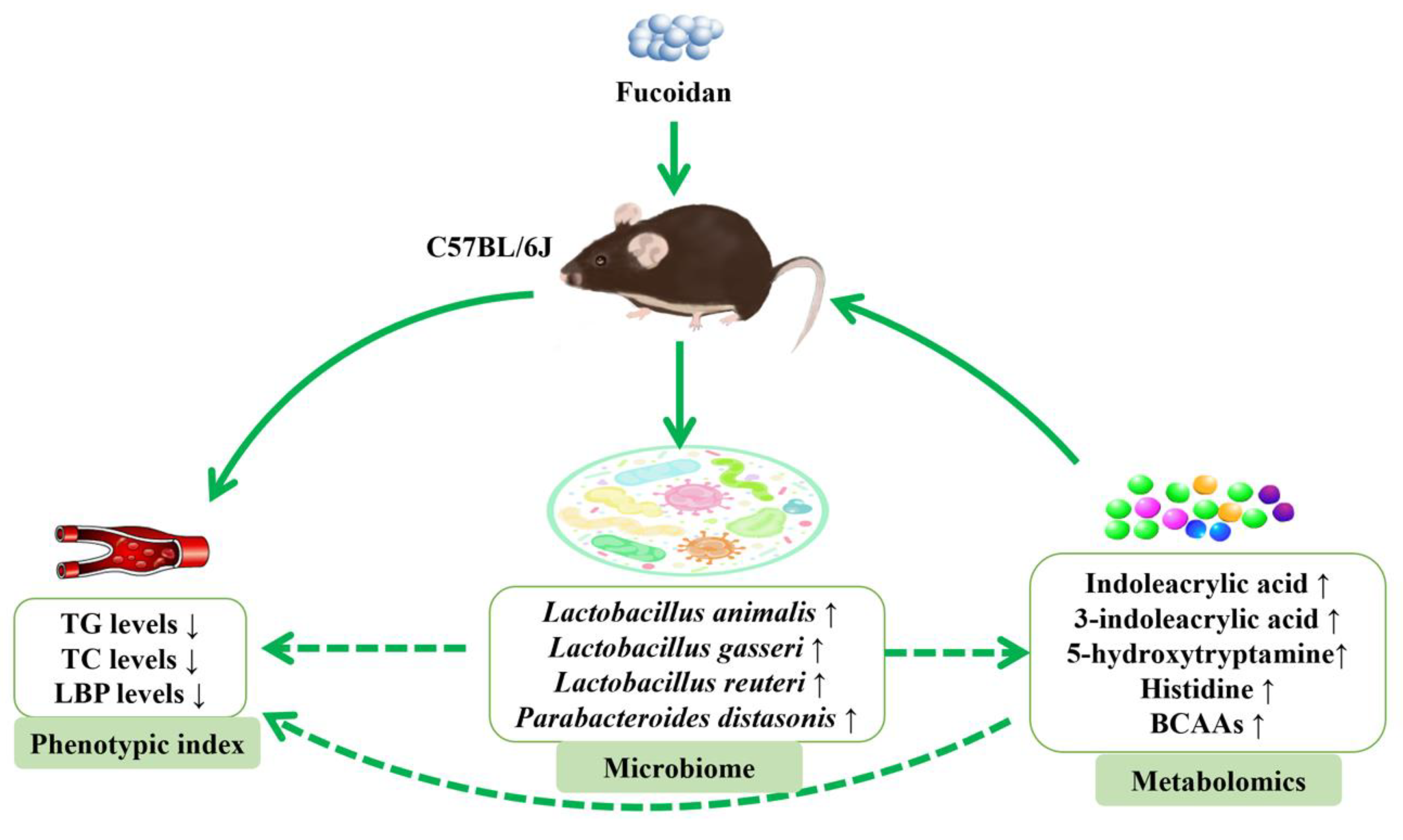 Jmse 09 00505 g0a8 Jmse 09 00505 g0a8