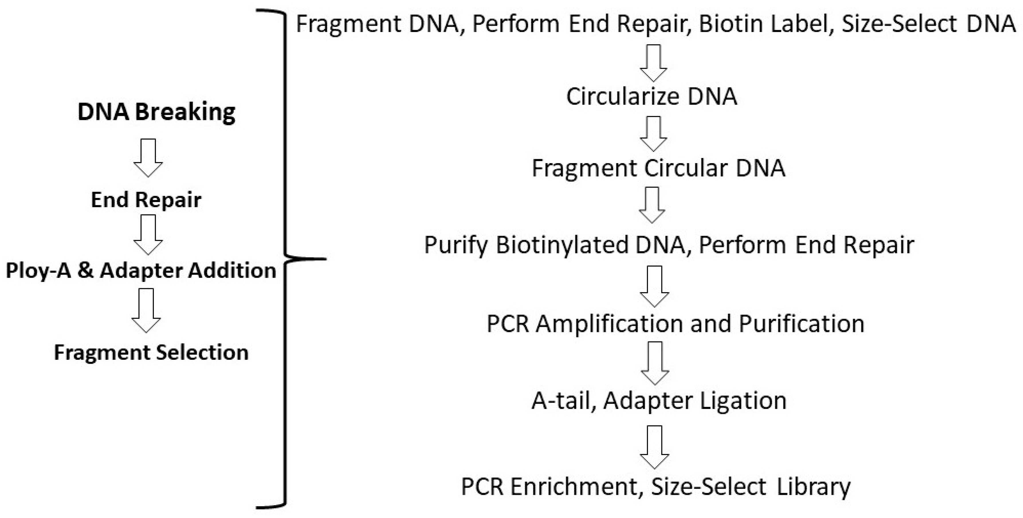 Jmse 09 00506 g001 Jmse 09 00506 g001