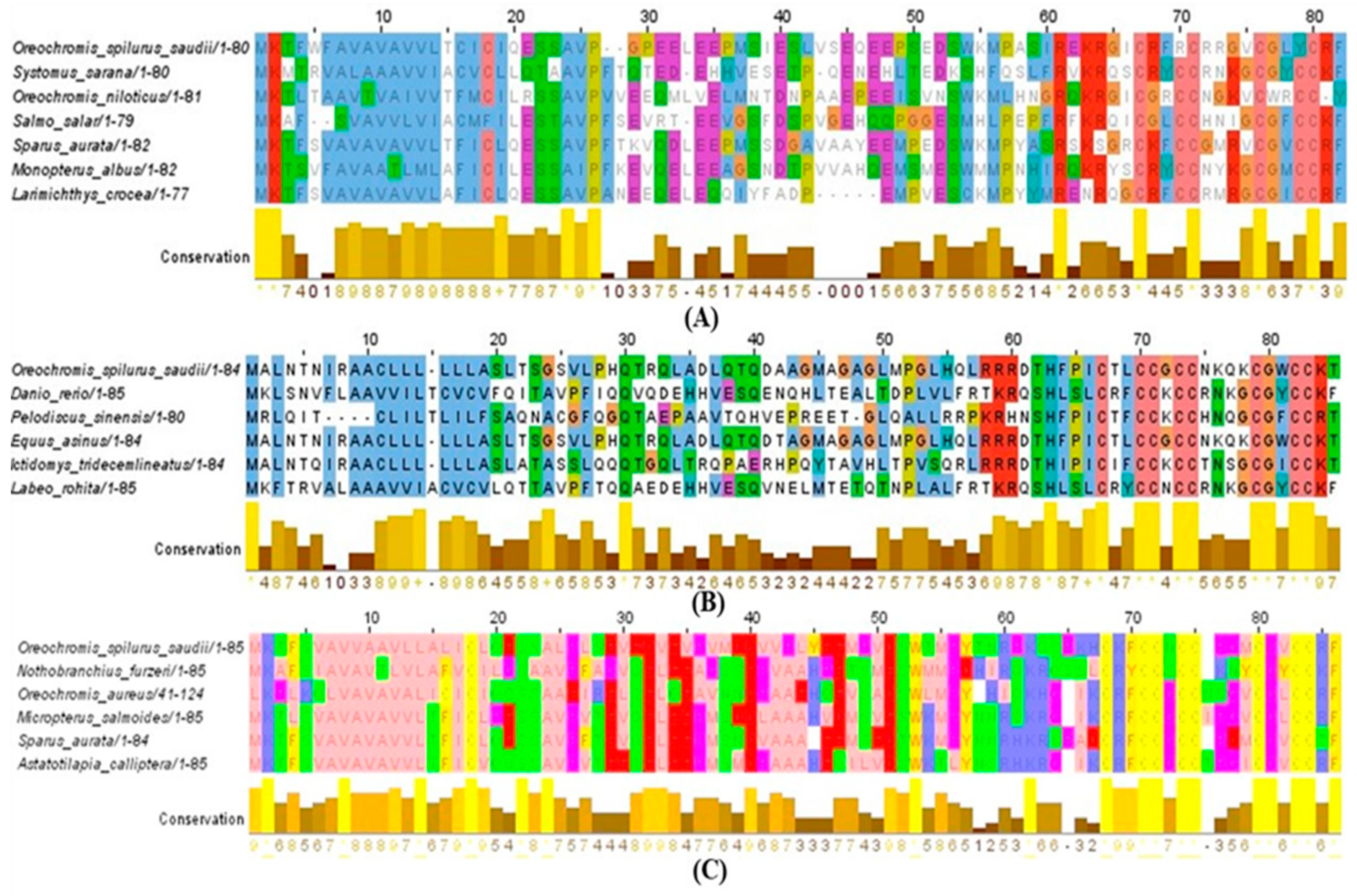 Jmse 09 00506 g009 Jmse 09 00506 g009
