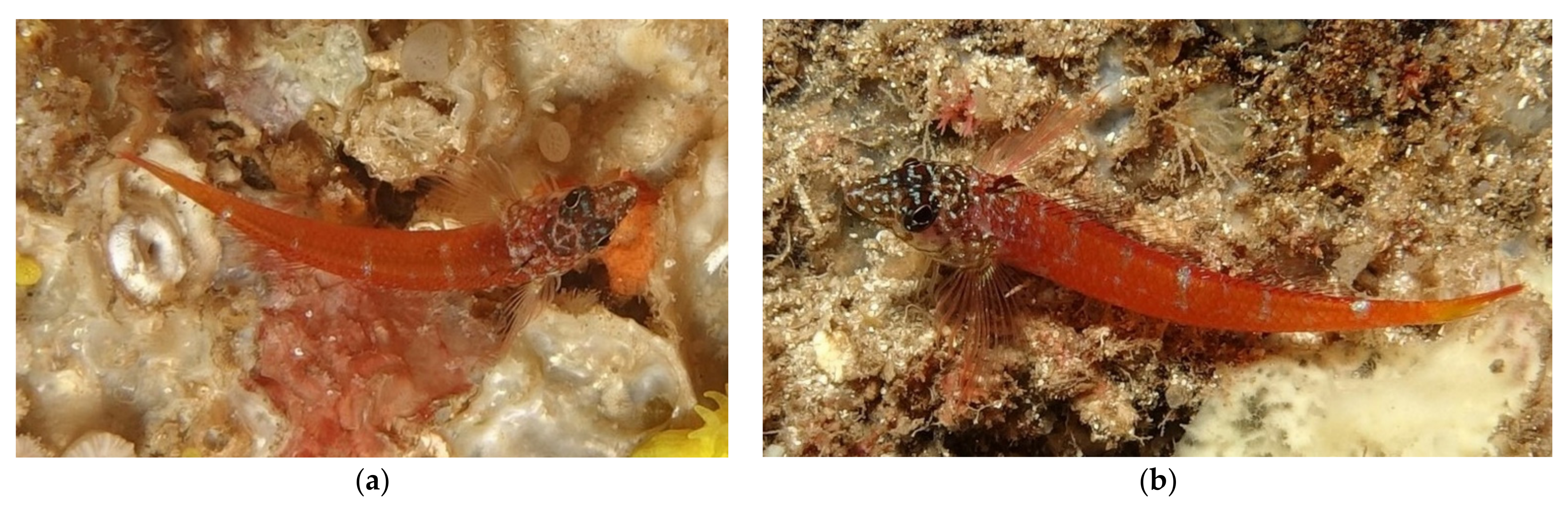 Jmse 09 00557 g007 Jmse 09 00557 g007