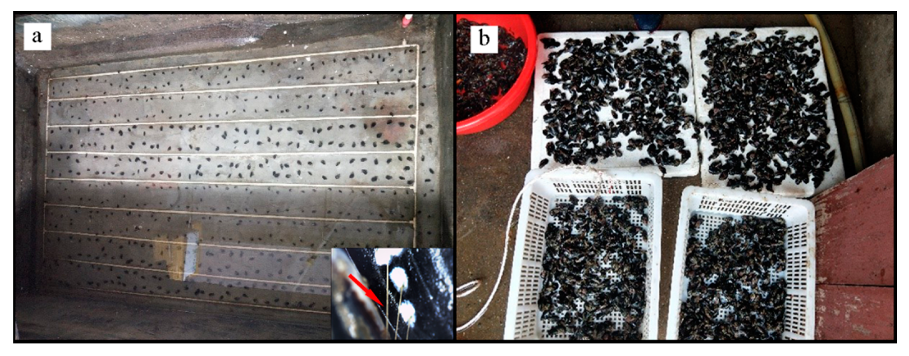 Jmse 09 00558 g002 Jmse 09 00558 g002