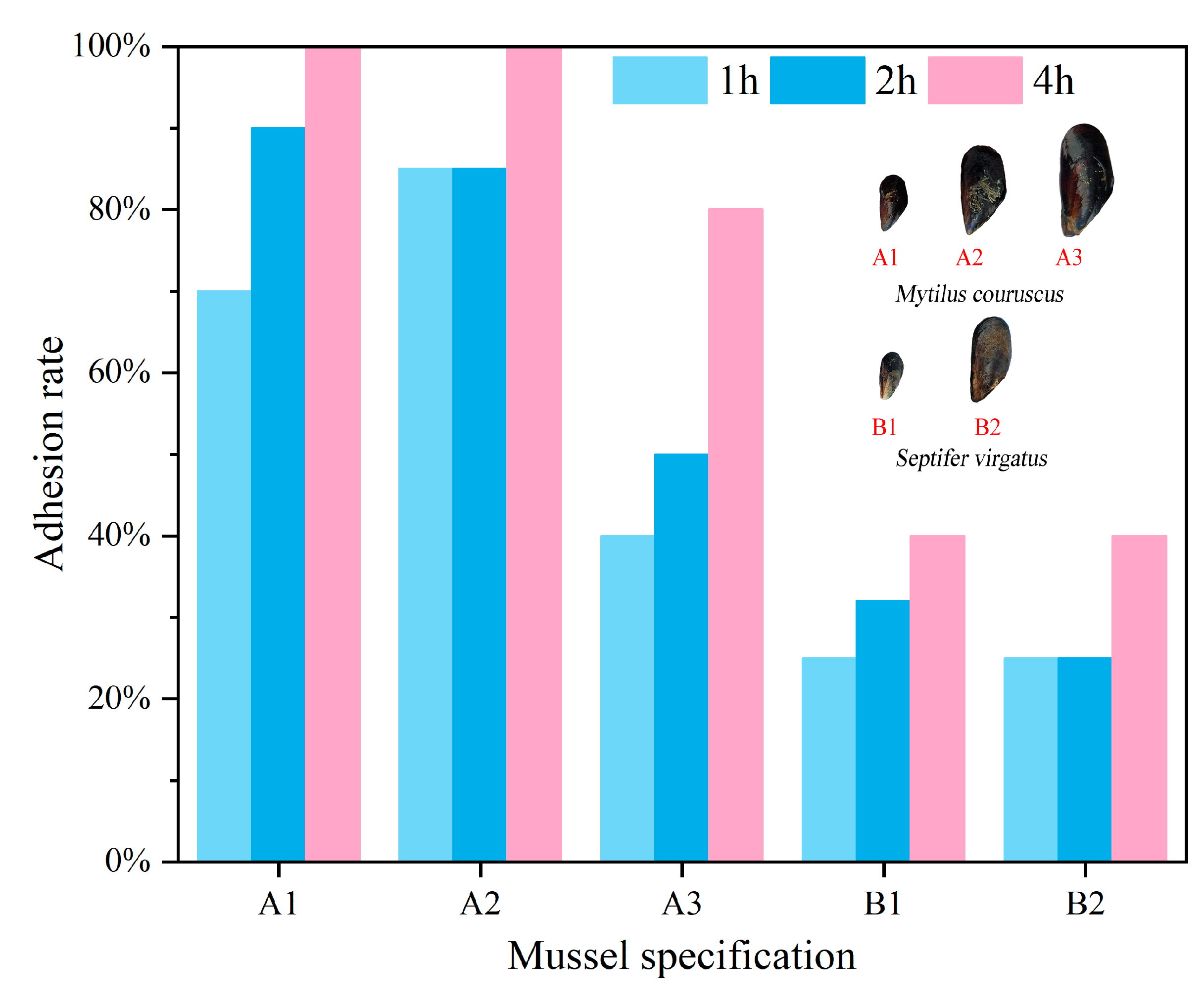Jmse 09 00558 g005 Jmse 09 00558 g005