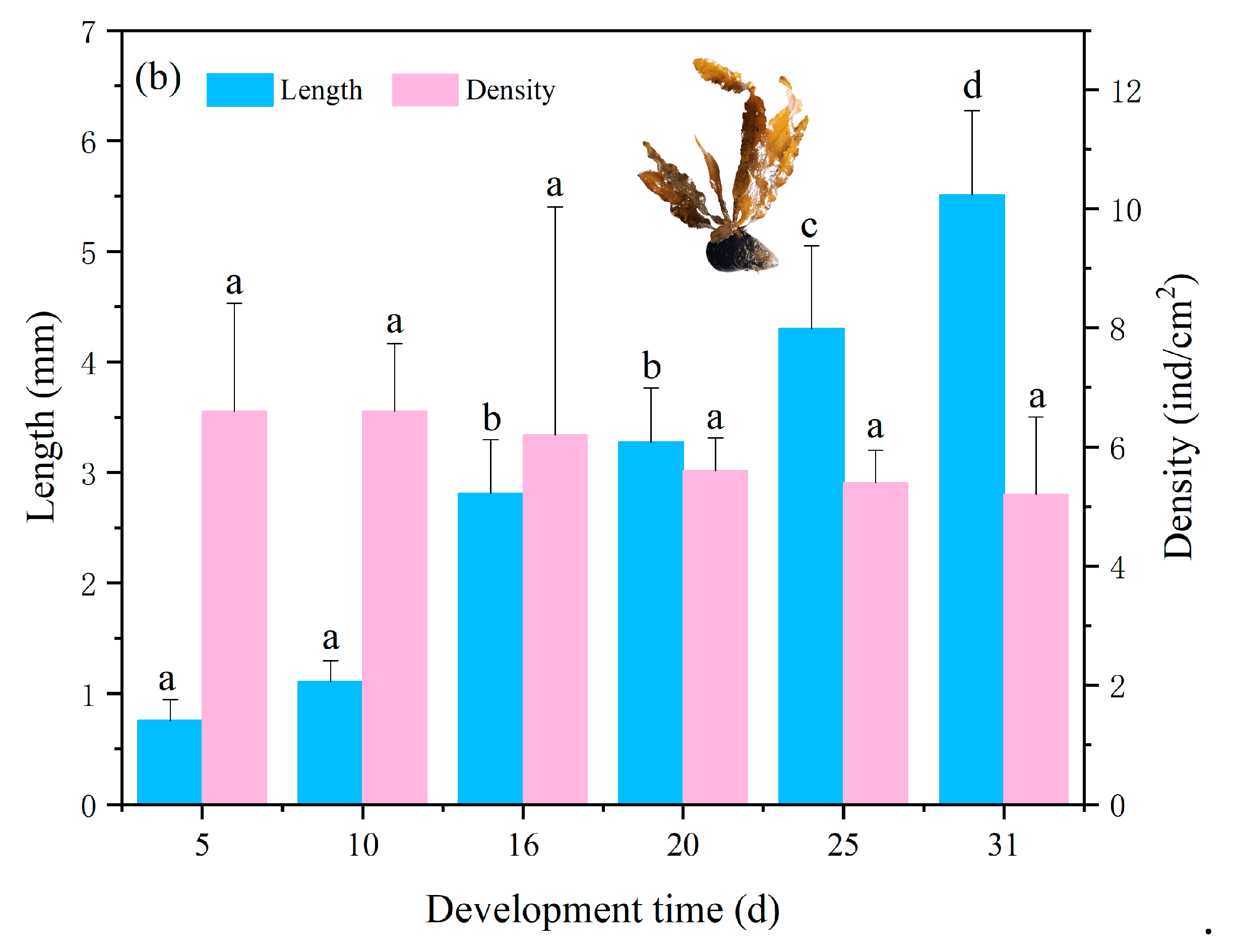 Jmse 09 00558 g007b Jmse 09 00558 g007b
