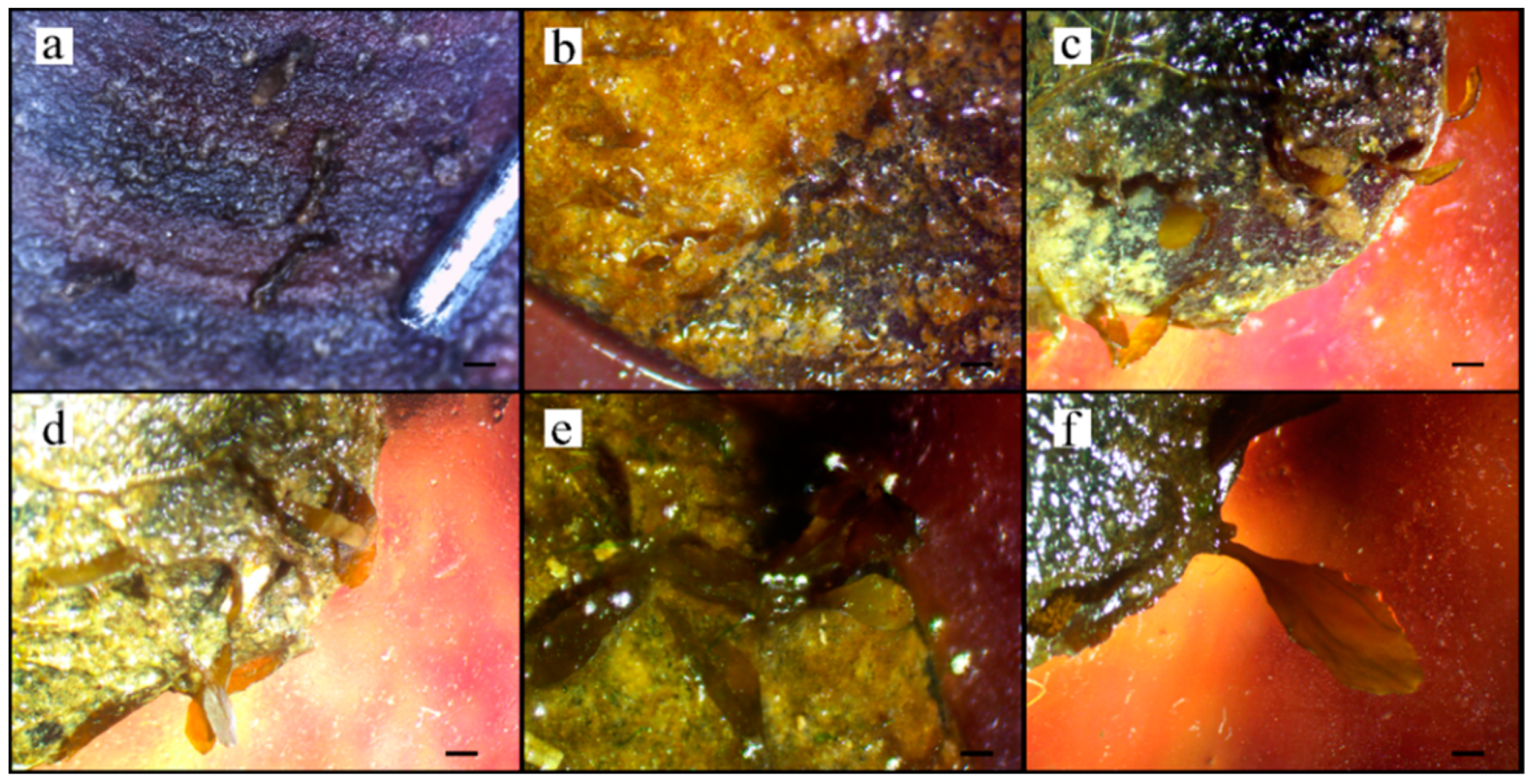 Jmse 09 00558 g008 Jmse 09 00558 g008