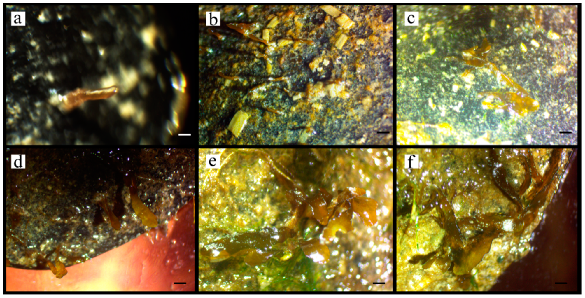 Jmse 09 00558 g009 Jmse 09 00558 g009