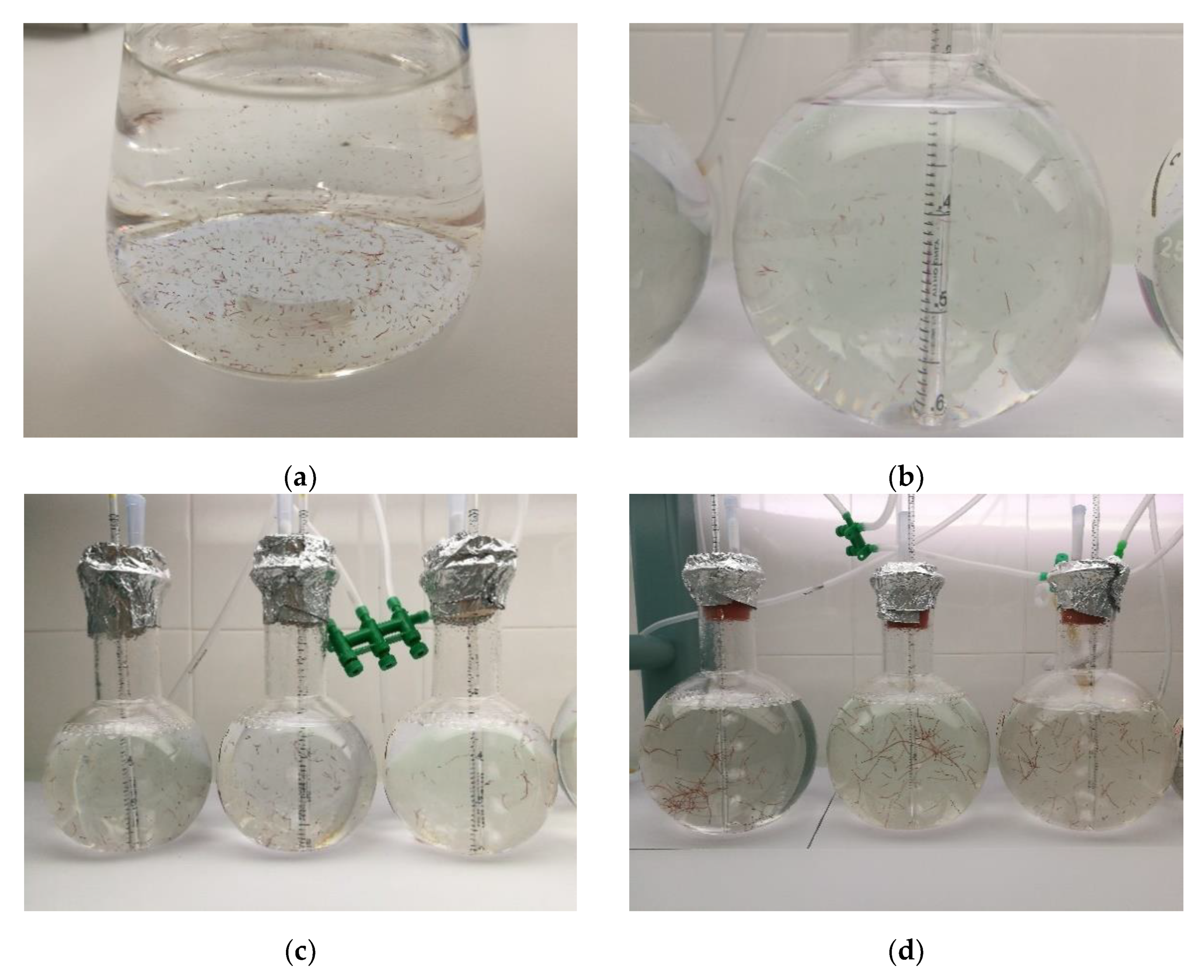 Jmse 09 00562 g004a Jmse 09 00562 g004a