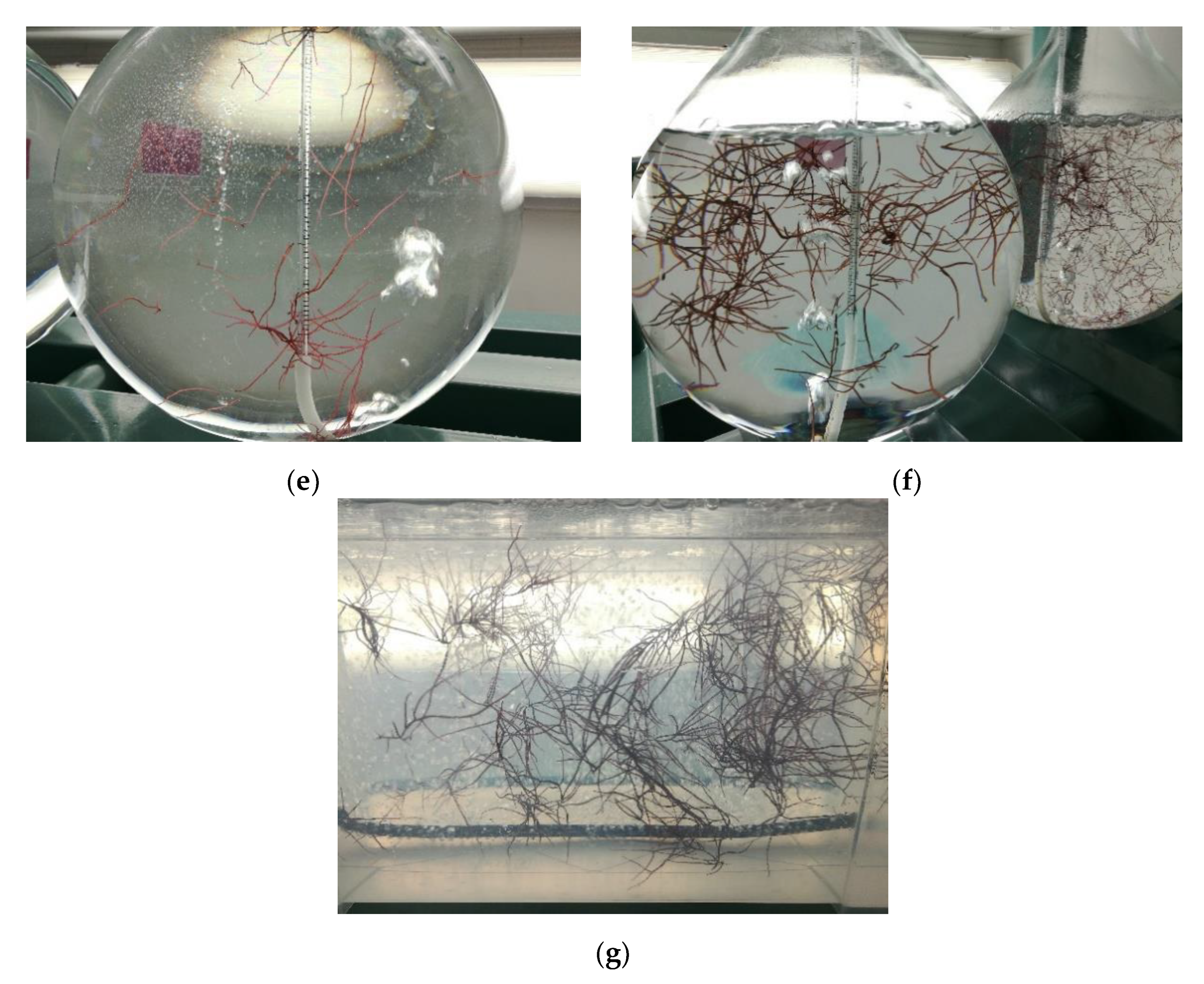 Jmse 09 00562 g004b Jmse 09 00562 g004b