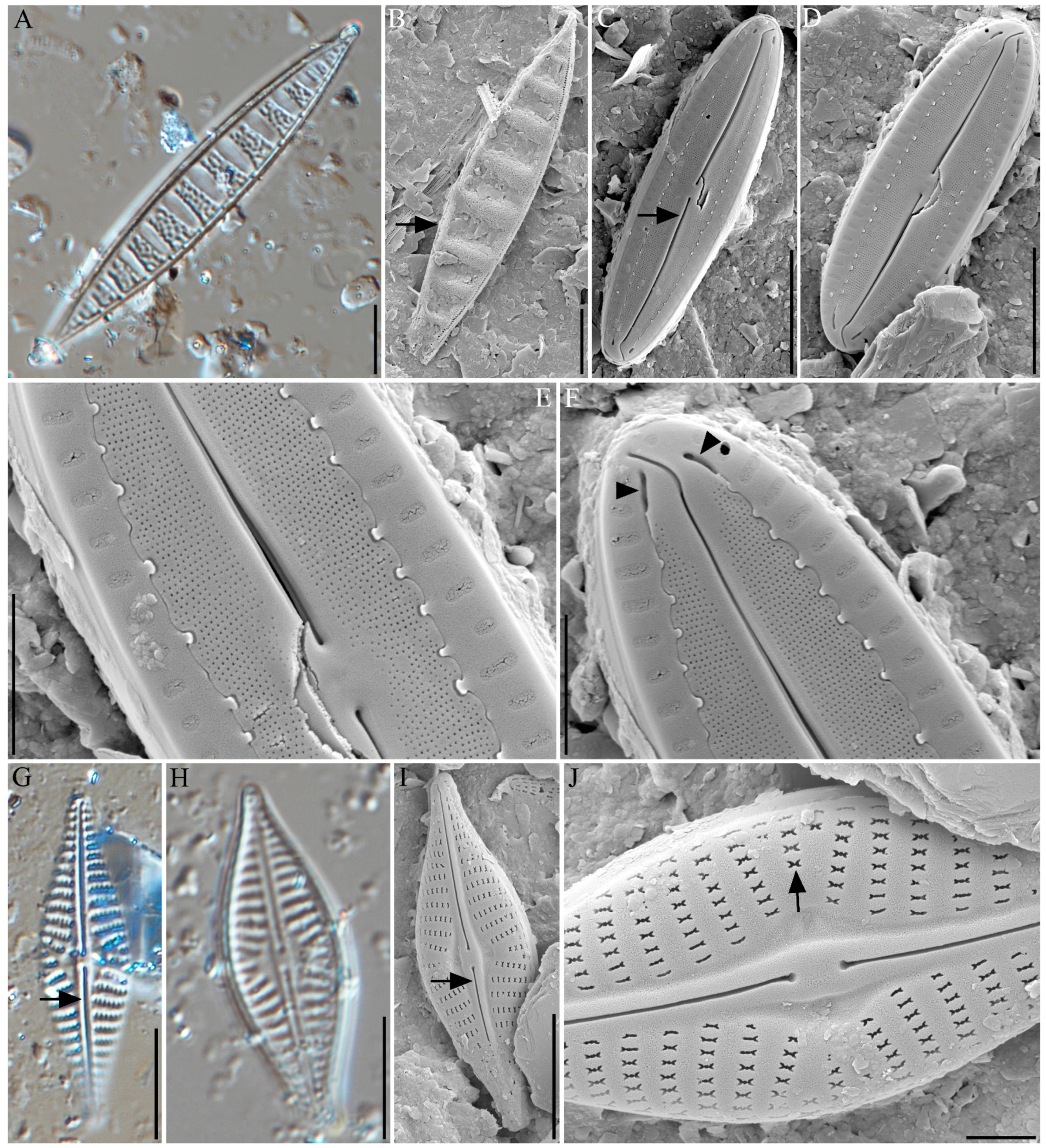 Jmse 09 00591 g003 Jmse 09 00591 g003