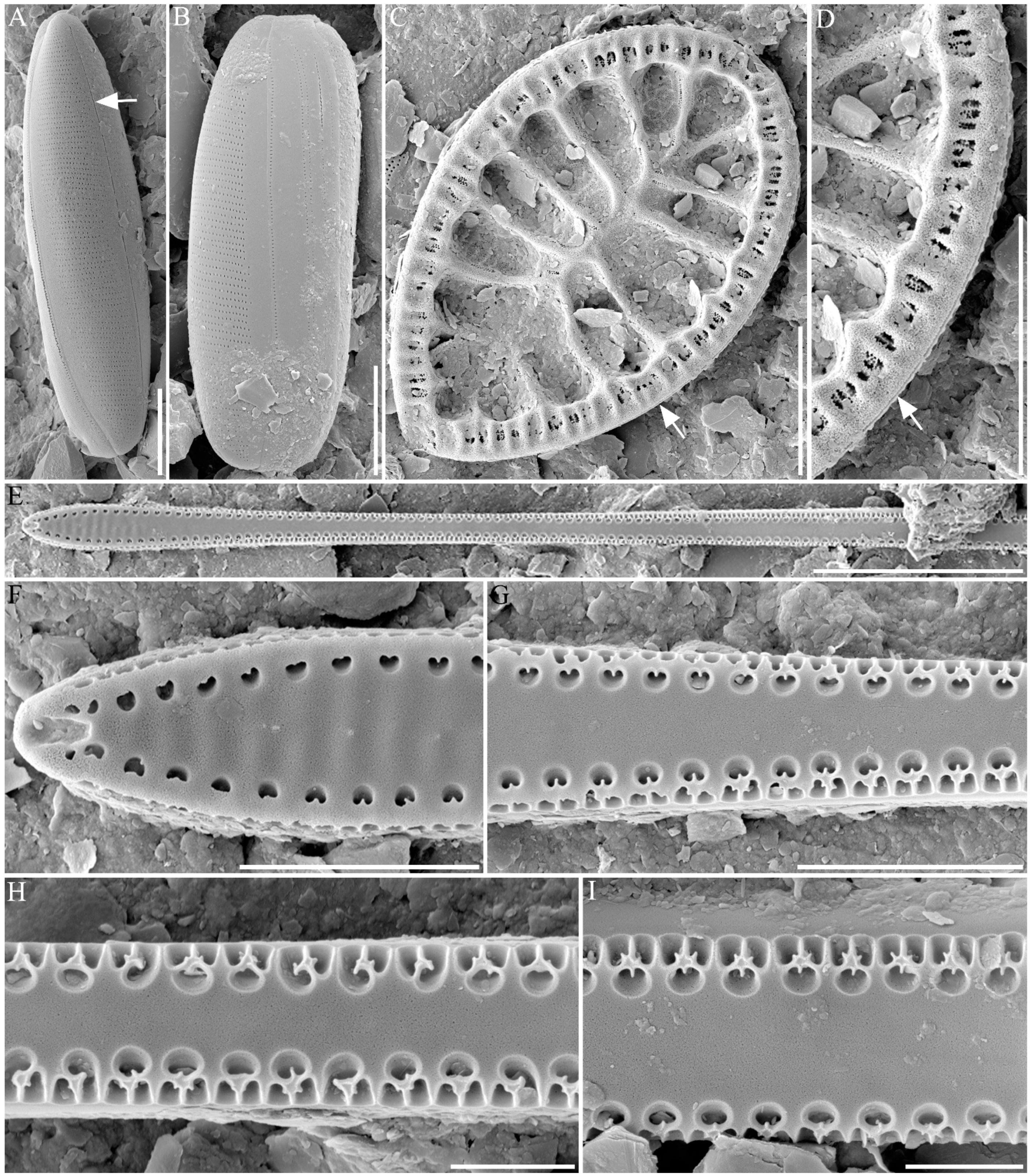 Jmse 09 00591 g004 Jmse 09 00591 g004