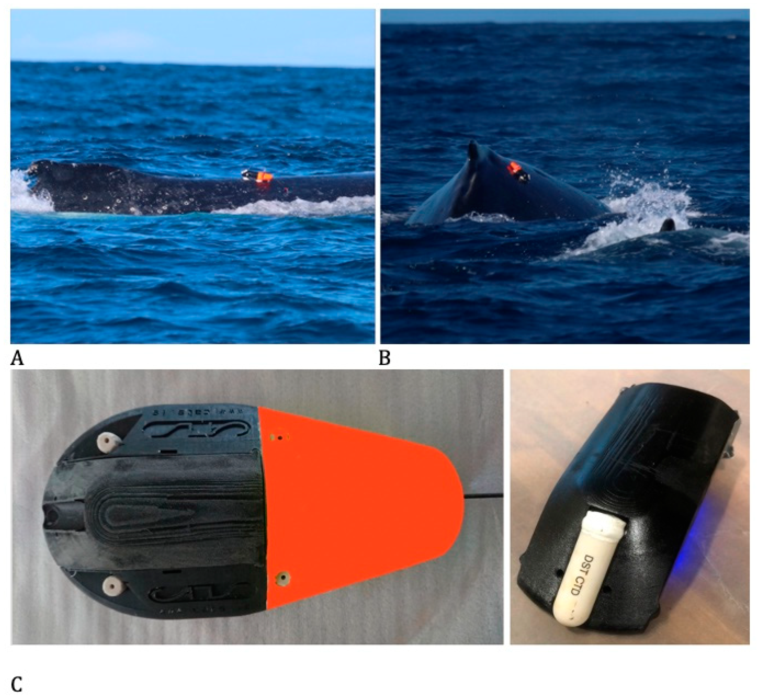 Jmse 09 00597 g002