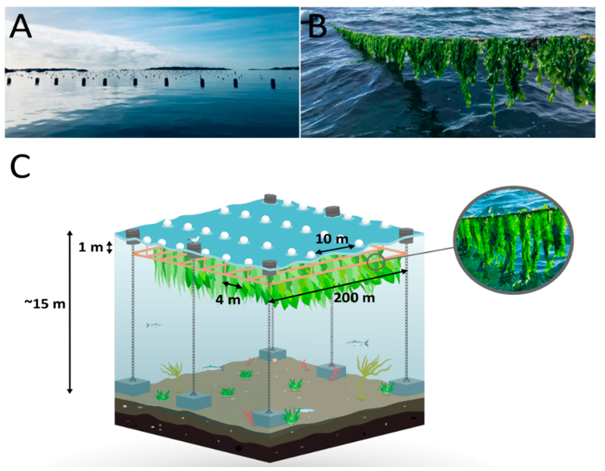 Jmse 09 00615 g001 Jmse 09 00615 g001