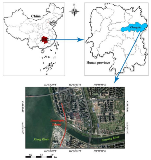 Experimental Investigation of Load-Bearing Mechanism of