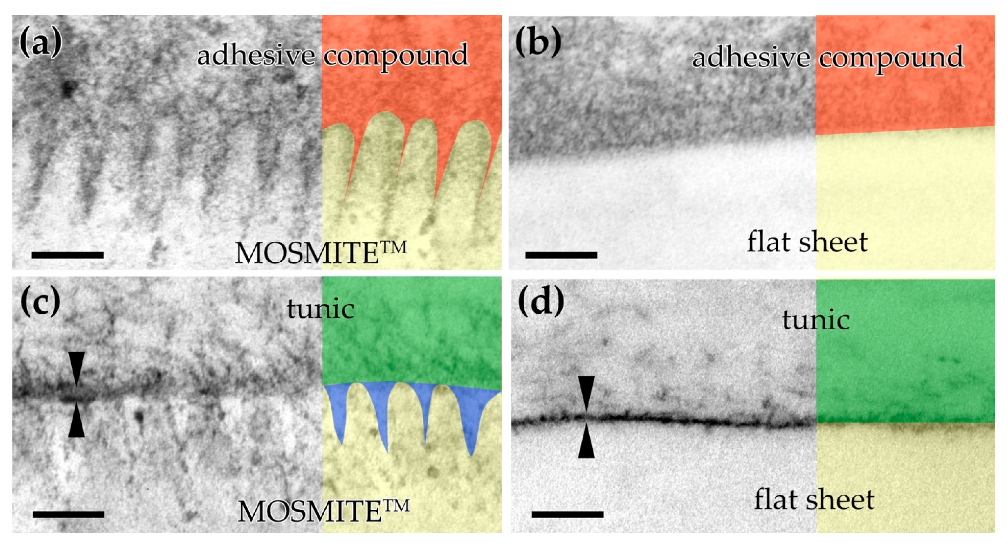 Jmse 09 00634 g006