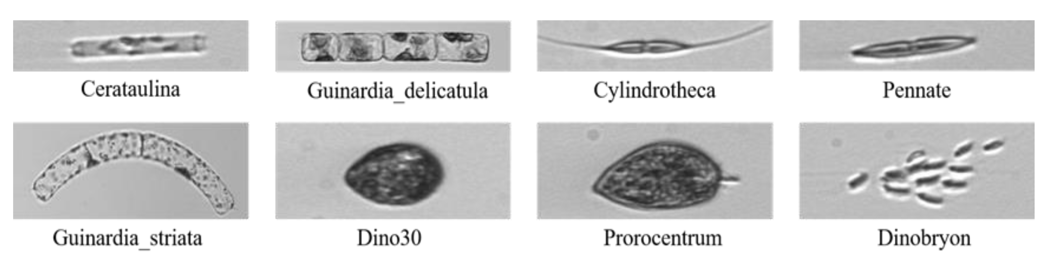 Jmse 09 00636 g001 Jmse 09 00636 g001