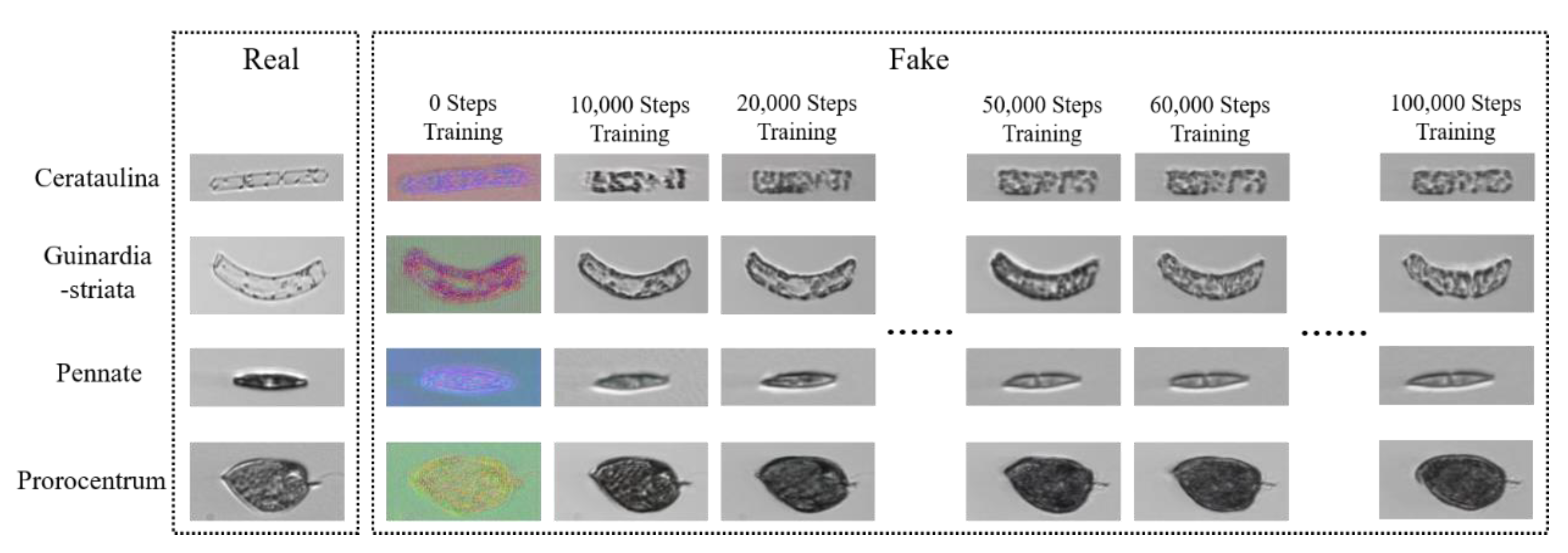 Jmse 09 00636 g007 Jmse 09 00636 g007