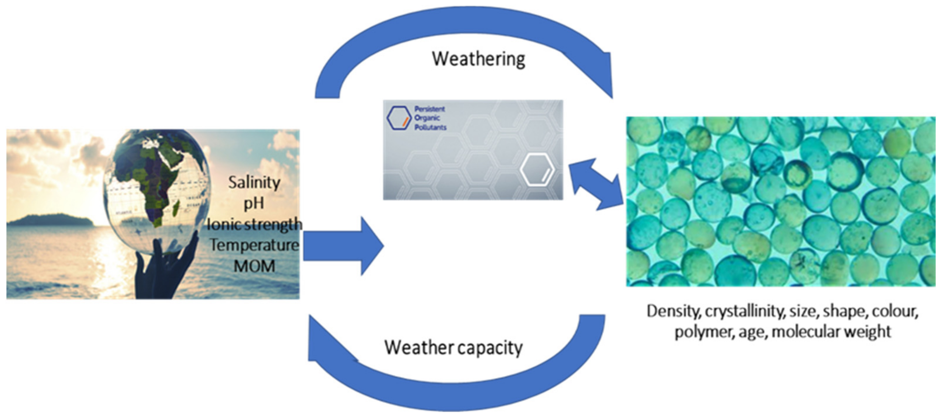 Jmse 09 00642 g003 Jmse 09 00642 g003