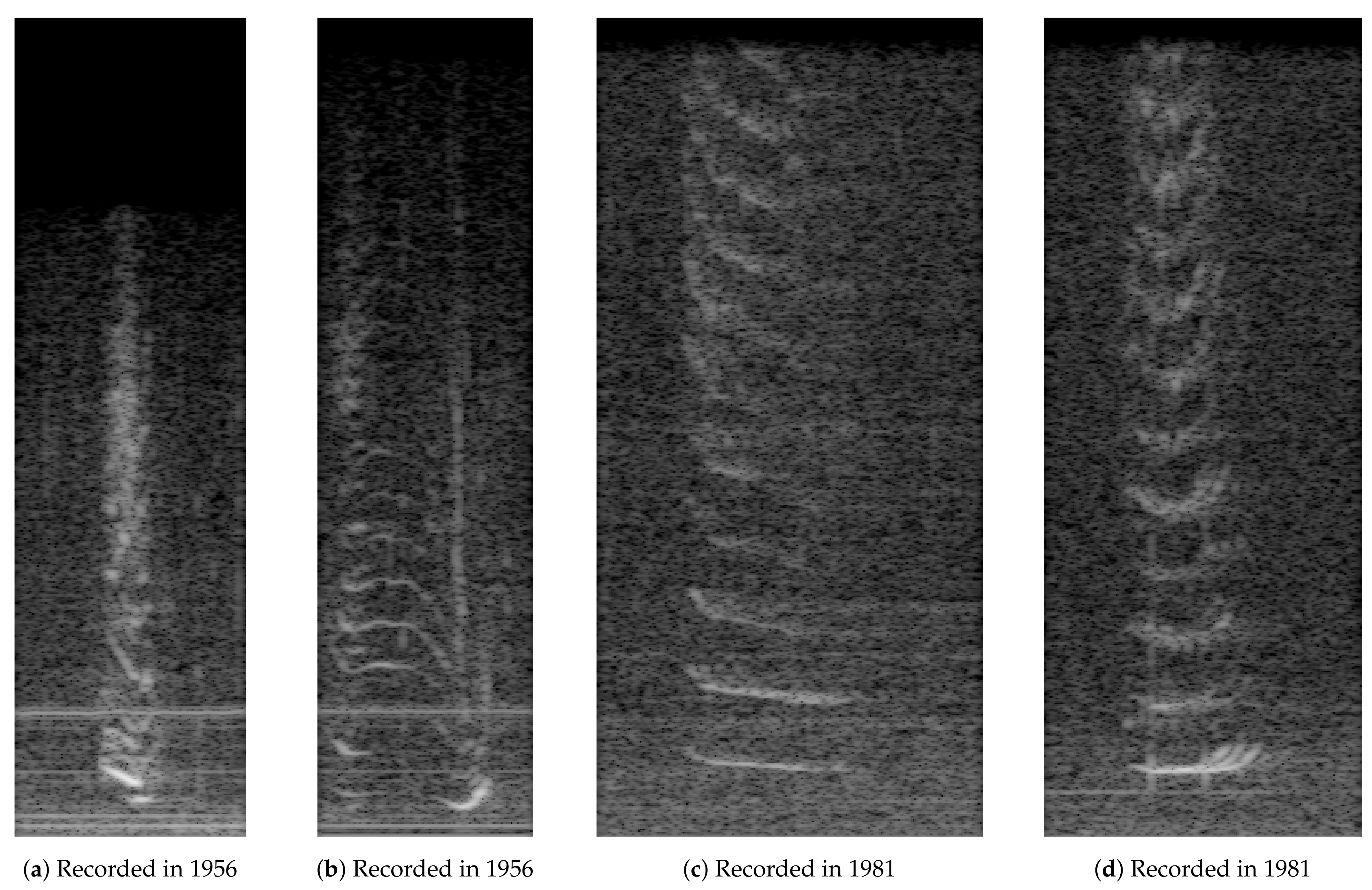 Jmse 09 00685 g001 550