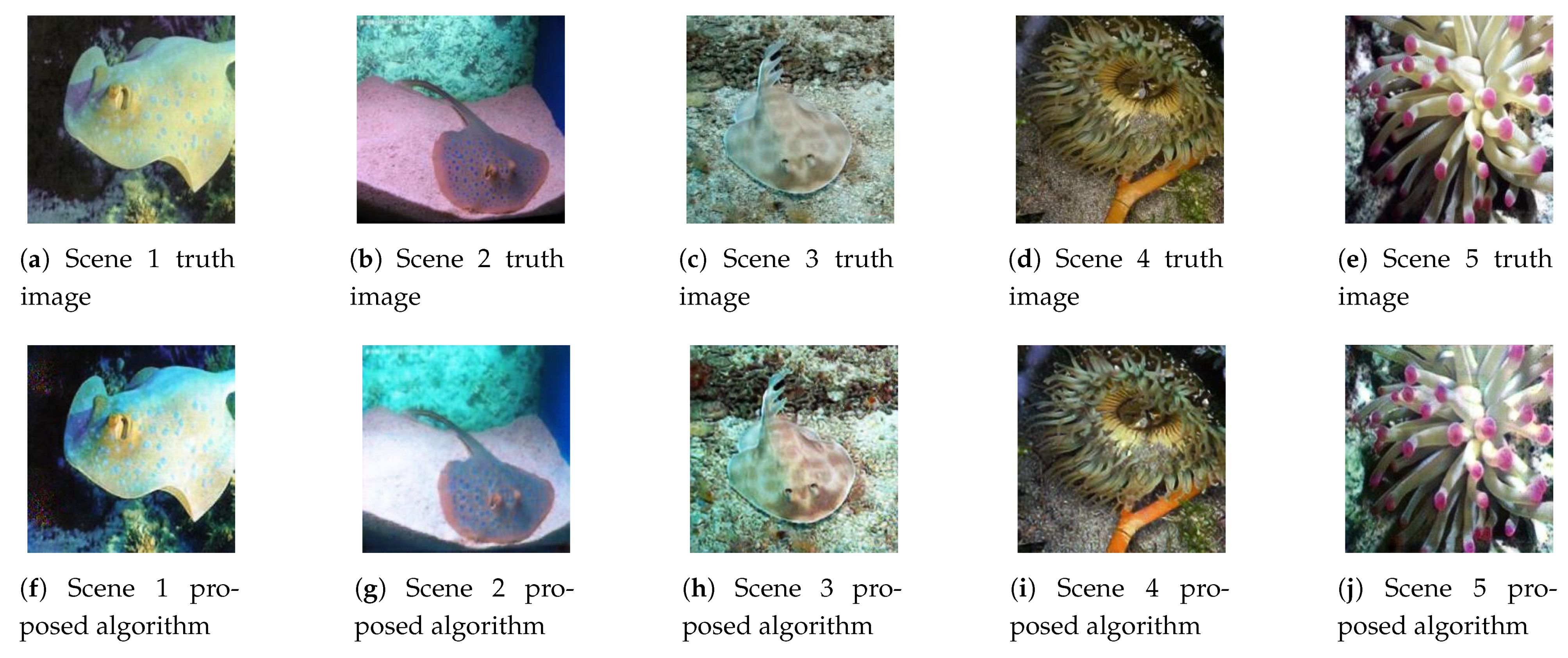 Jmse Free Full Text An Underwater Image Enhancement Algorithm Based On Generative Adversarial Network And Natural Image Quality Evaluation Index Html