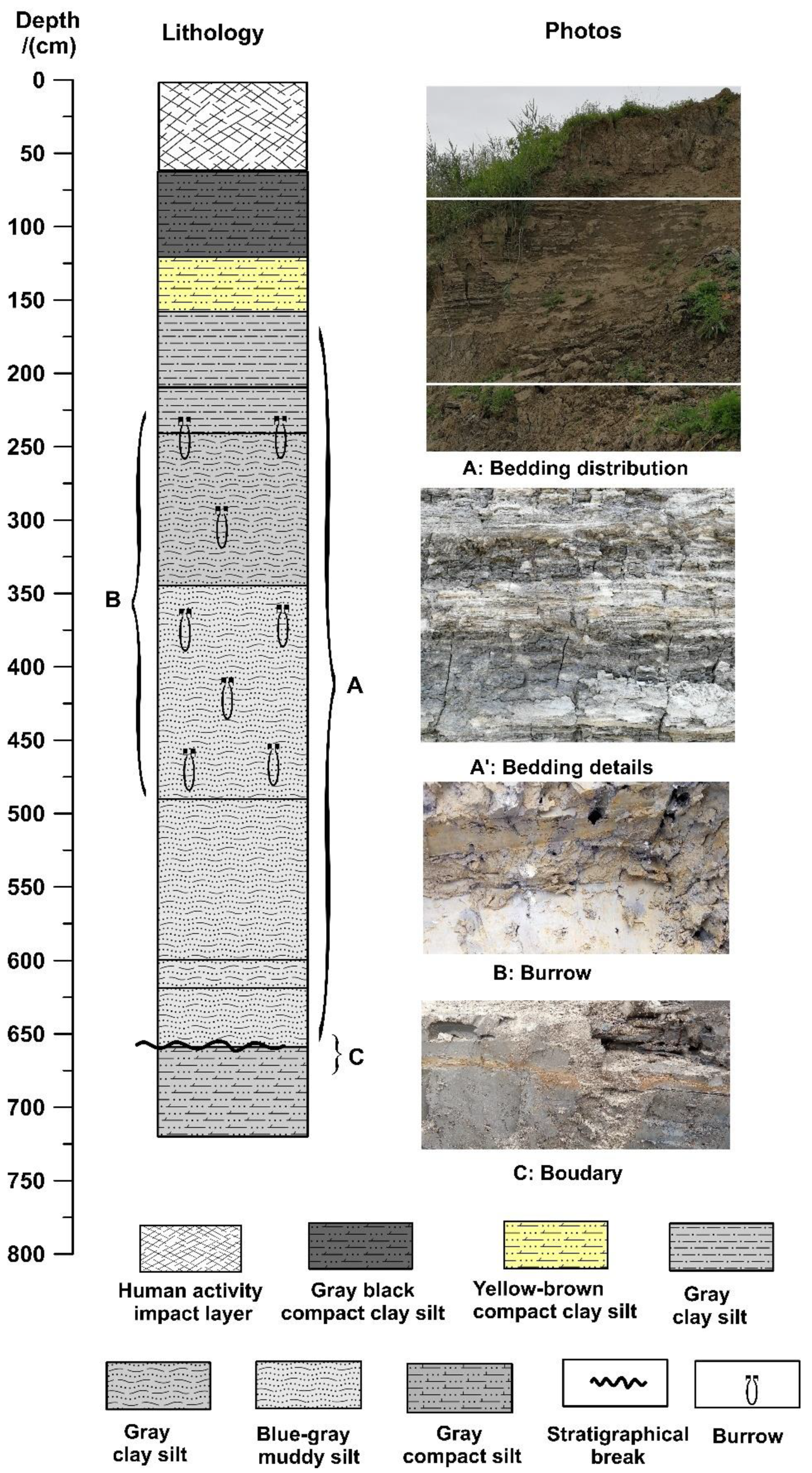 Jmse 09 00719 g003 550