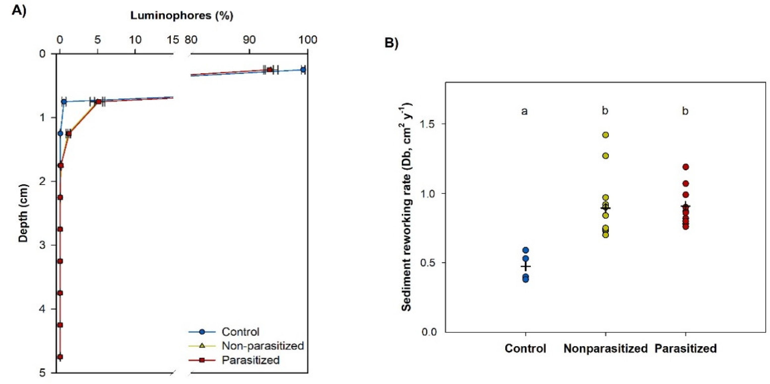 Frontiers  Sediment Bulk Density Effects on Benthic Macrofauna Burrowing  and Bioturbation Behavior