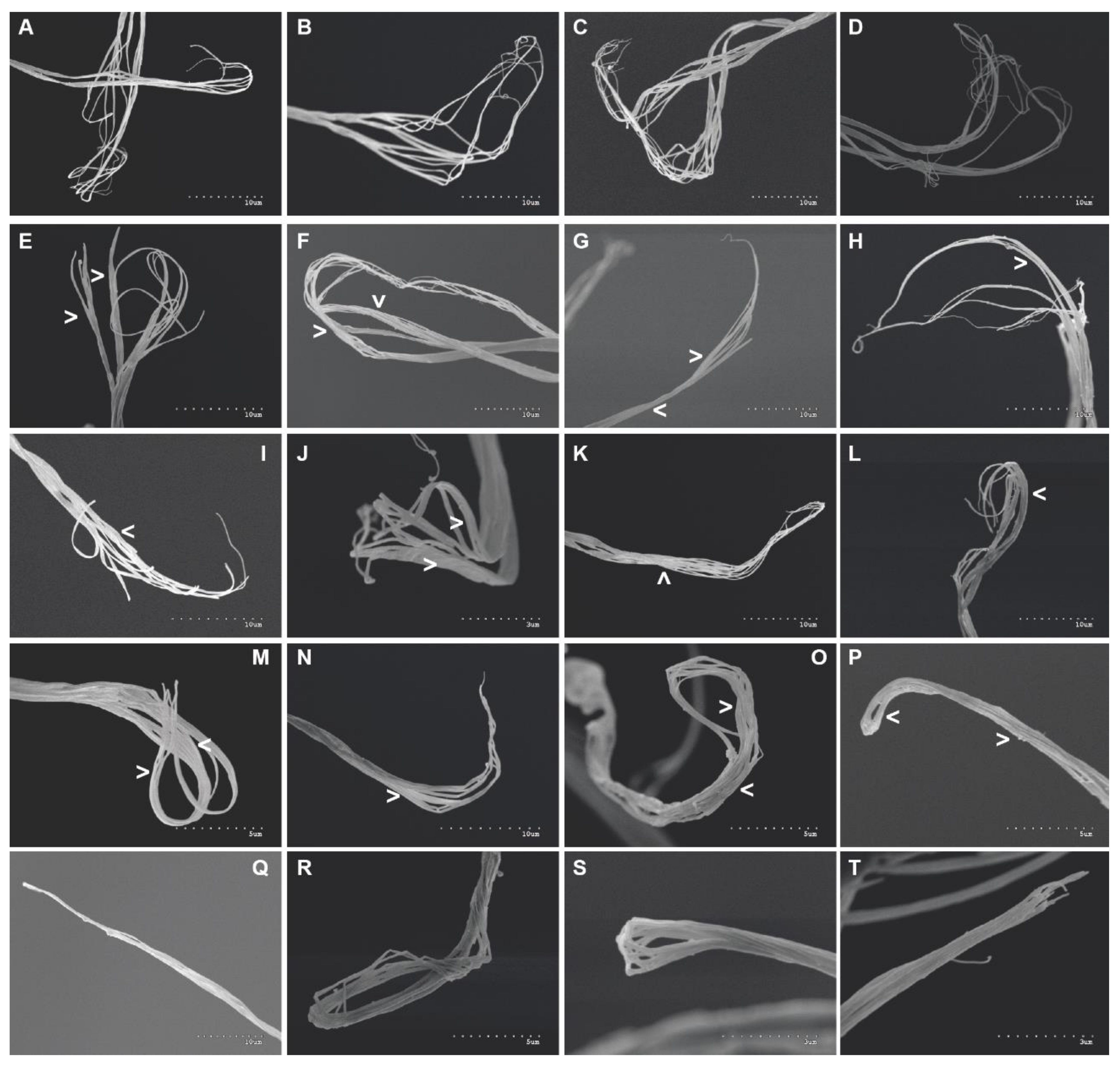 Jmse 09 00765 g007 550