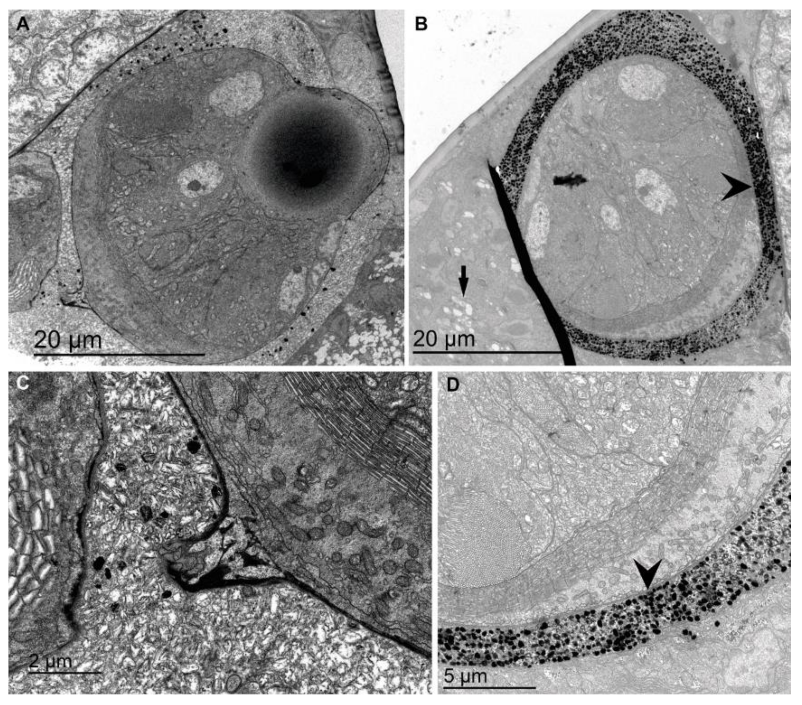 Jmse 09 00765 g010 550