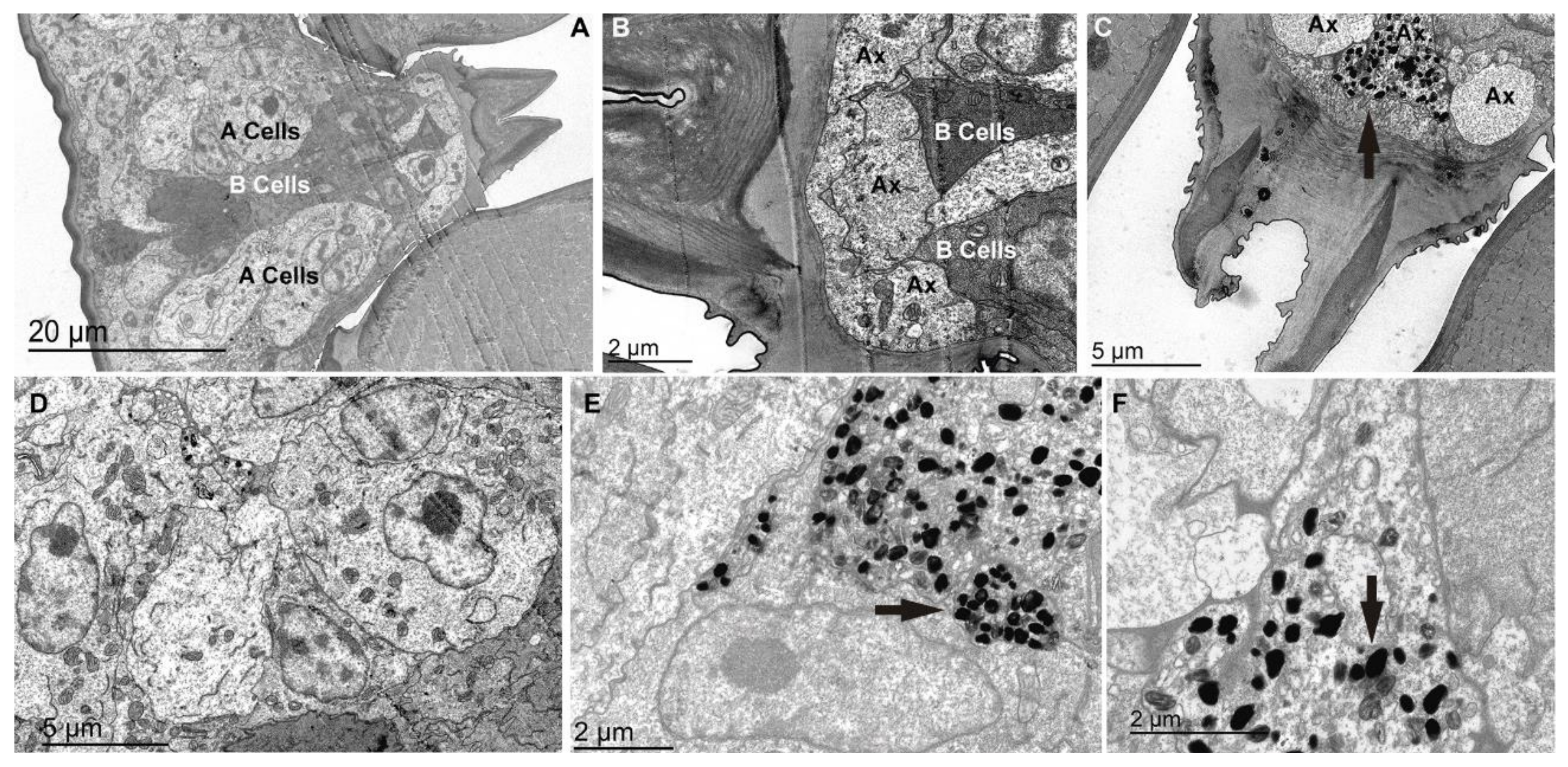 Jmse 09 00765 g011 550