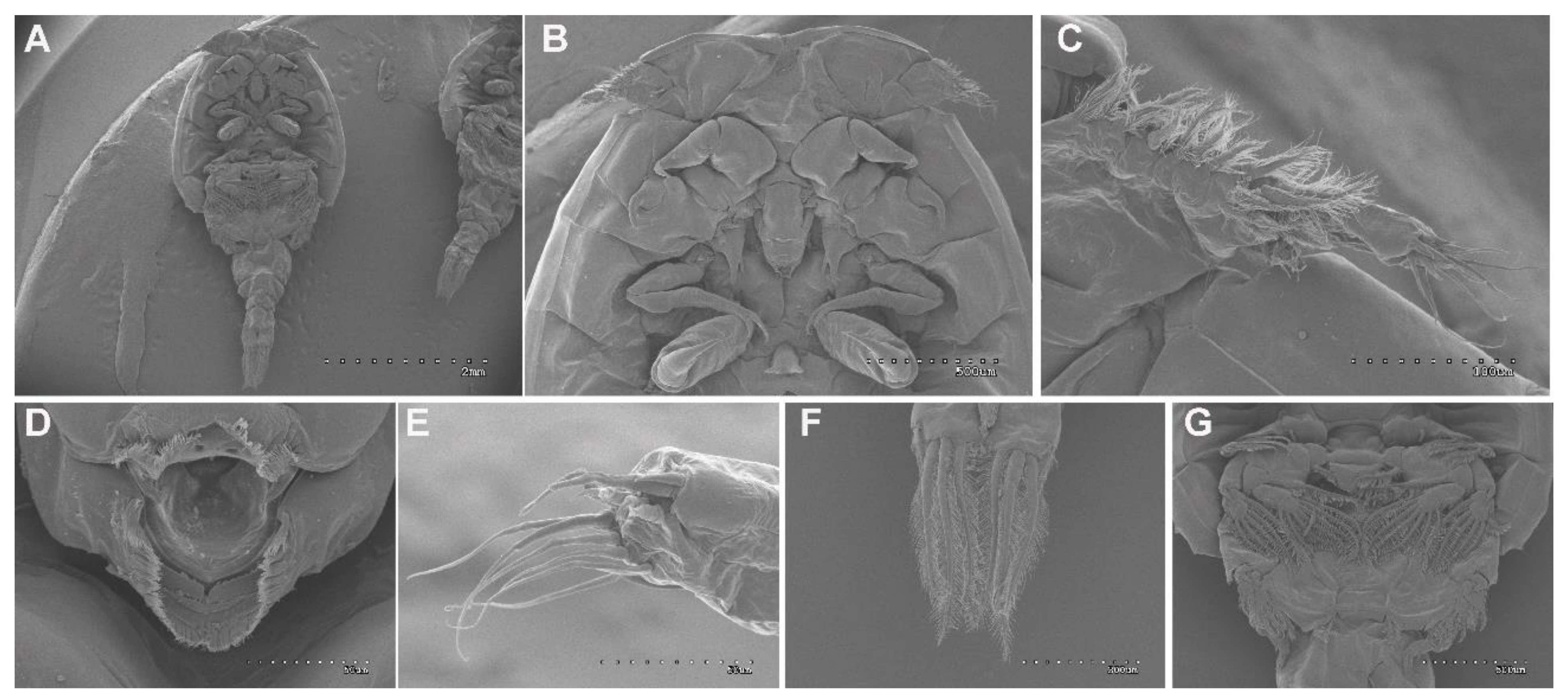 Jmse 09 00765 g012 550