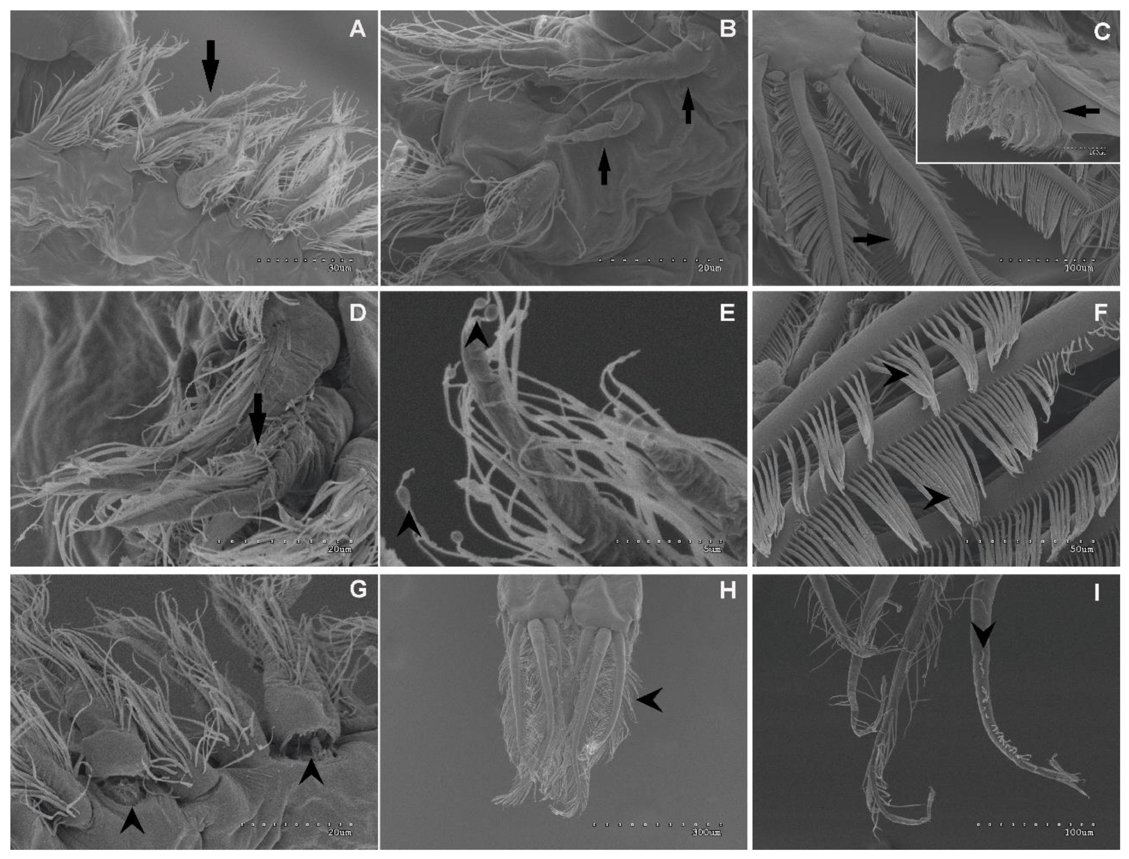 Jmse 09 00765 g013 550