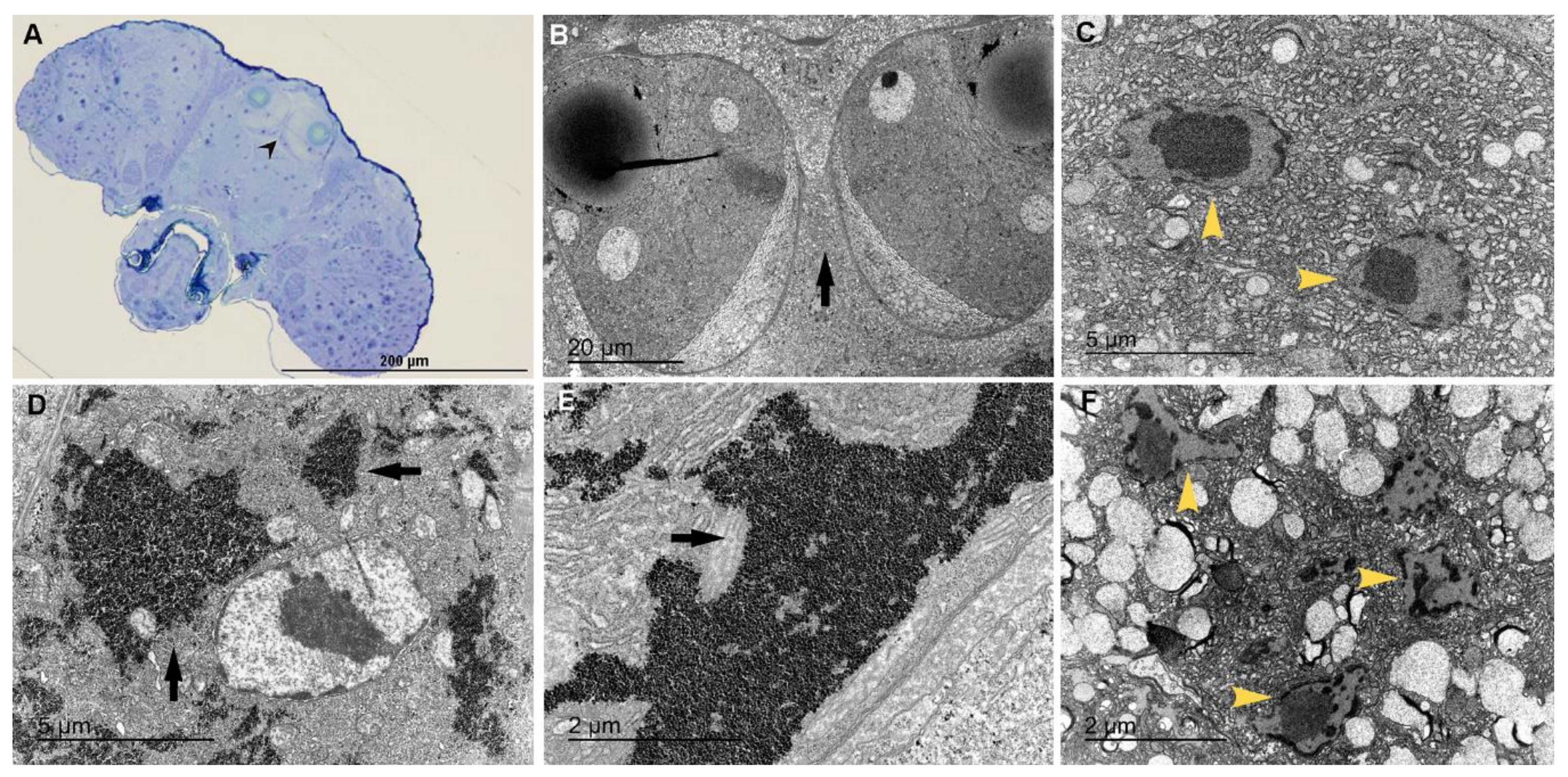 Jmse 09 00765 g015 550