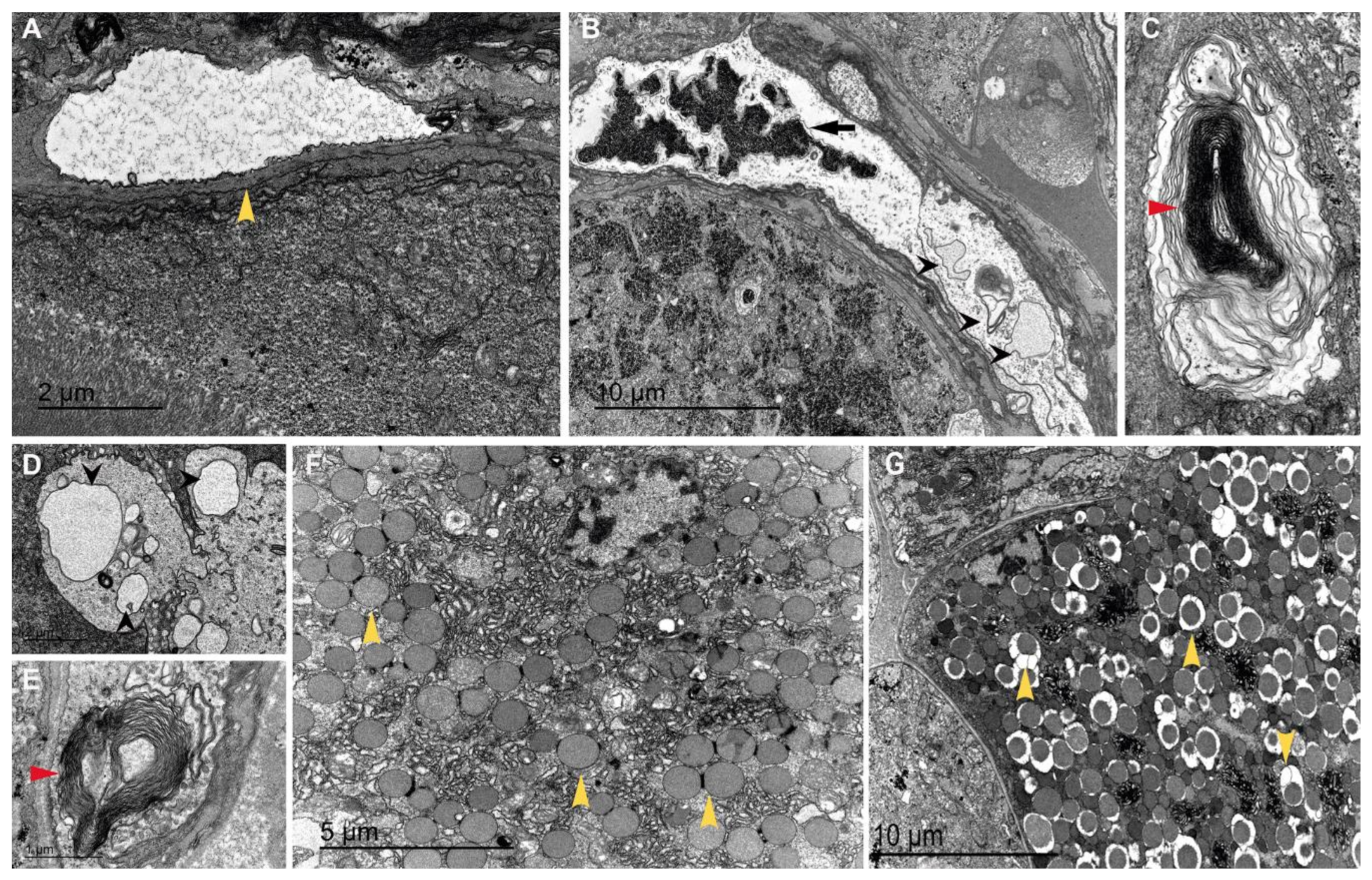 Jmse 09 00765 g016 550