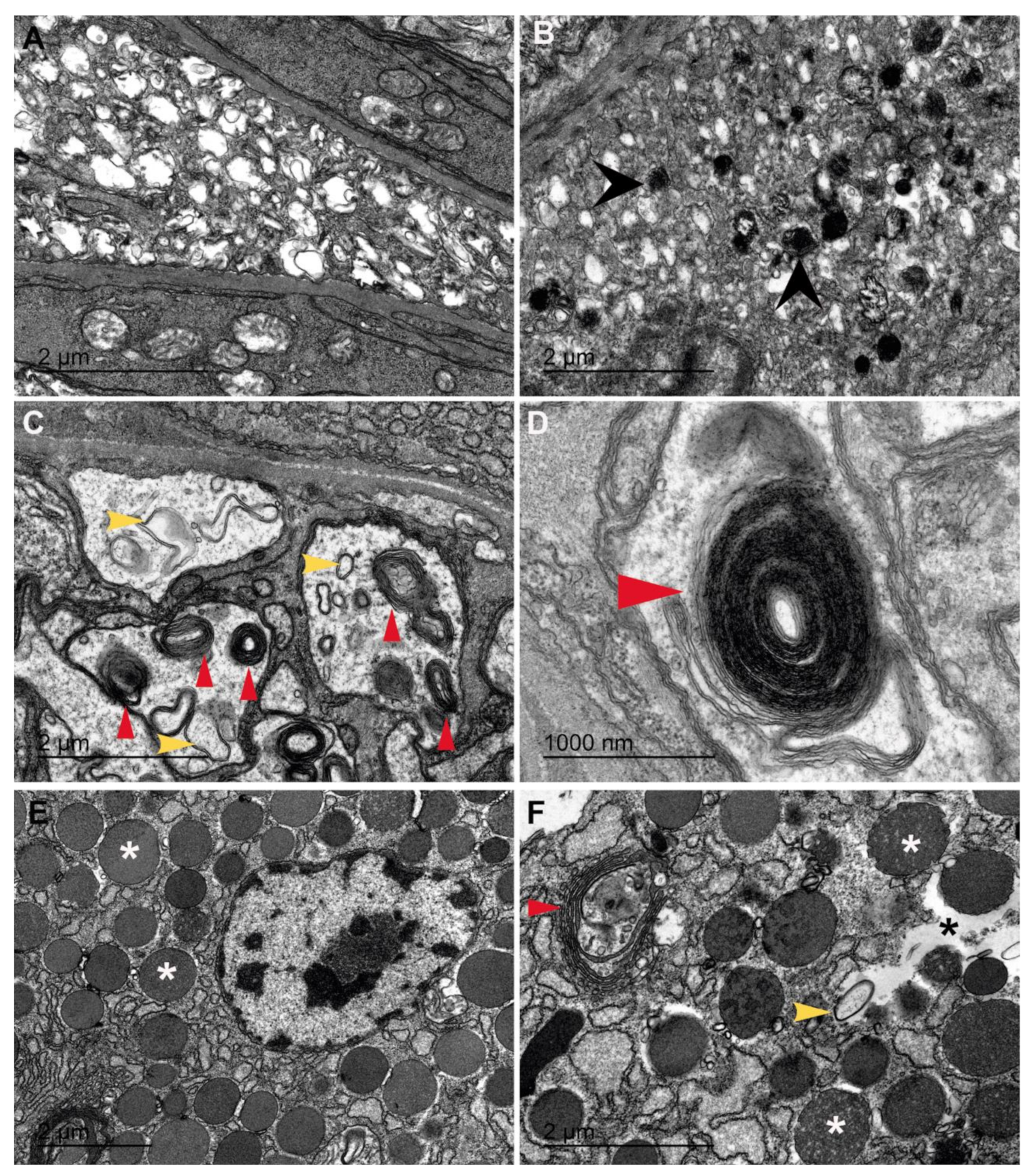 Jmse 09 00765 g017 550